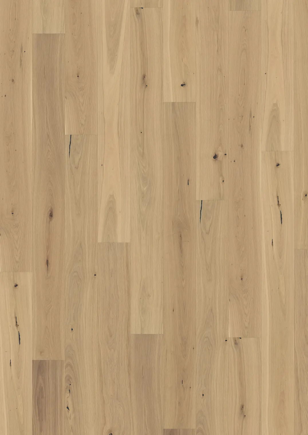 EICHE PIAZZA CD WEIß