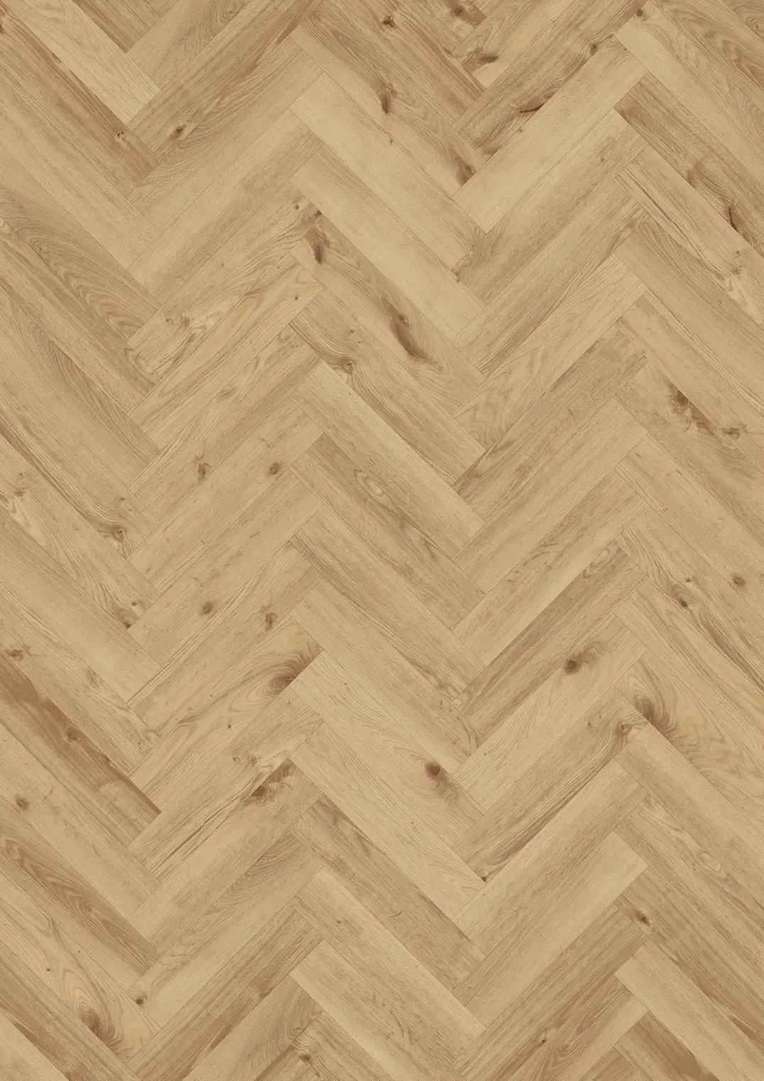 THURINGIAN DRY BACK FISCHGRAT