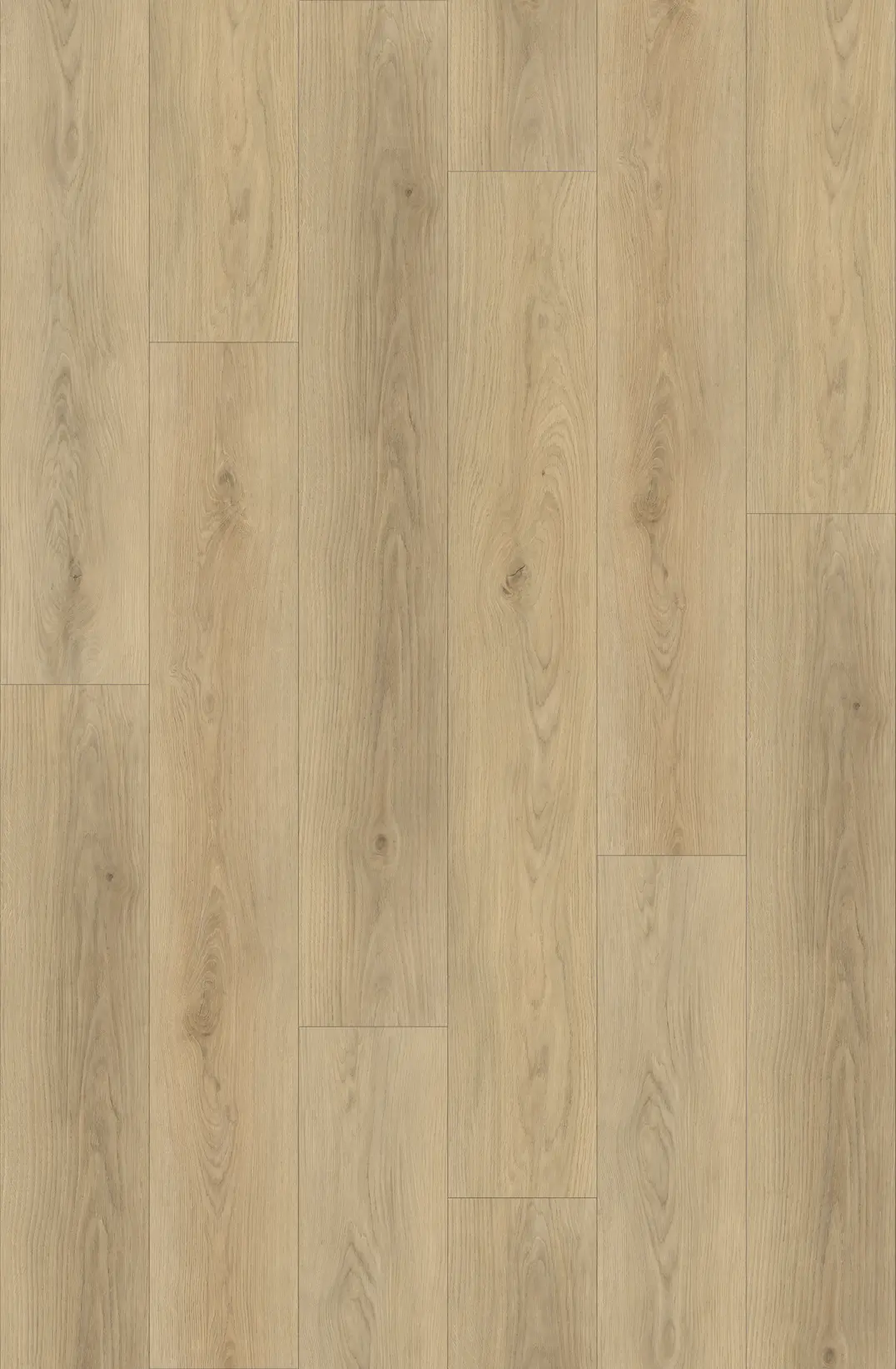 TRANQUILITY CLICK PLANK