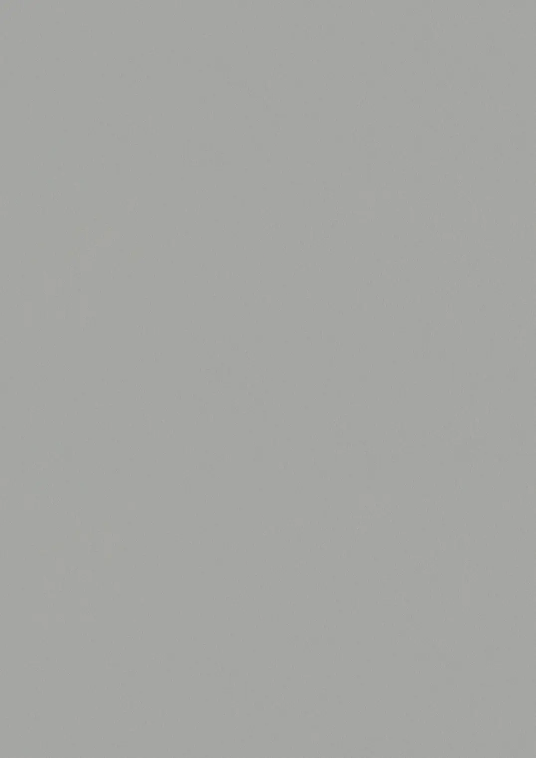 ESTRAD SAFETY R11/50 7750