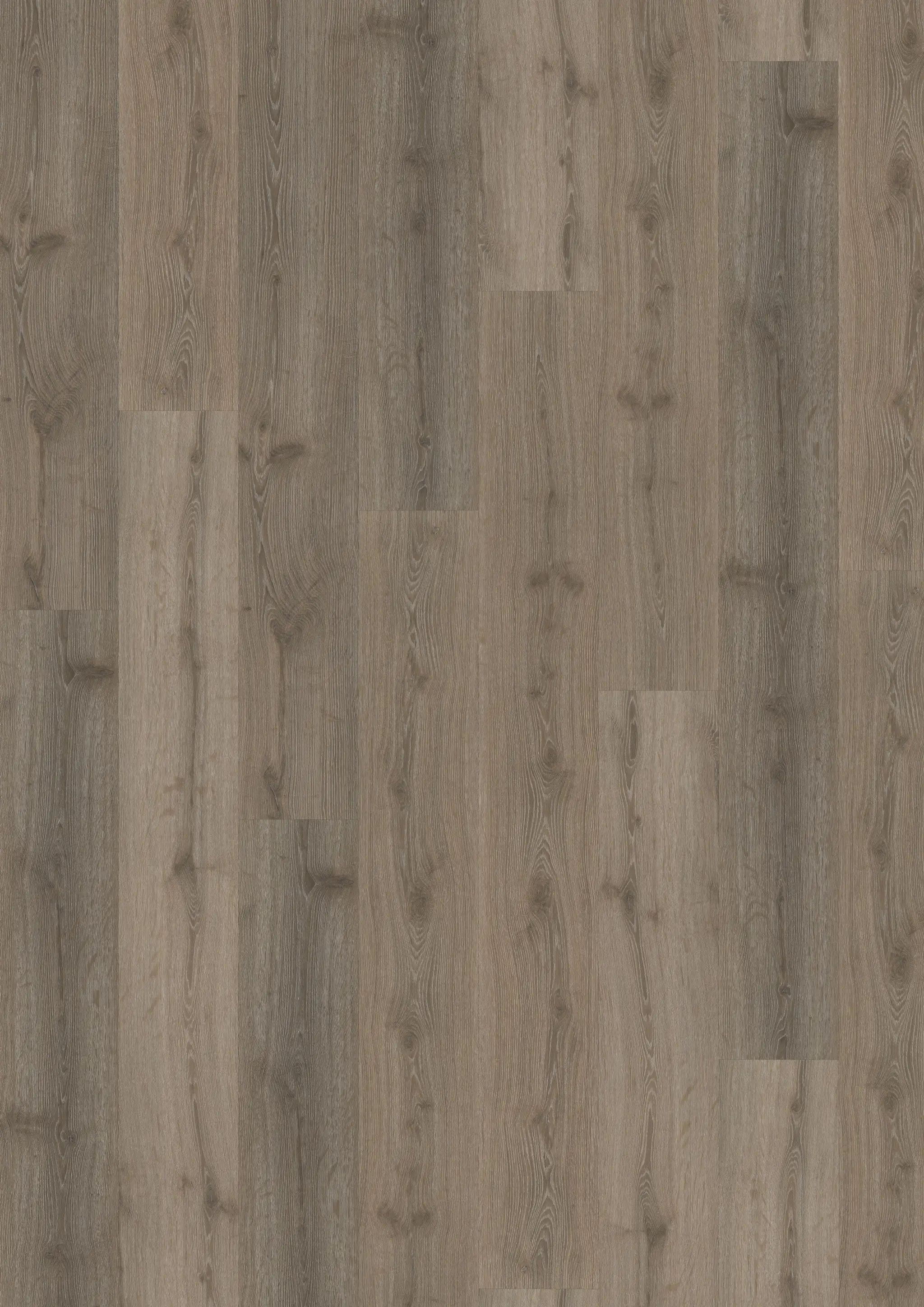 Missing translation Samples Kährs