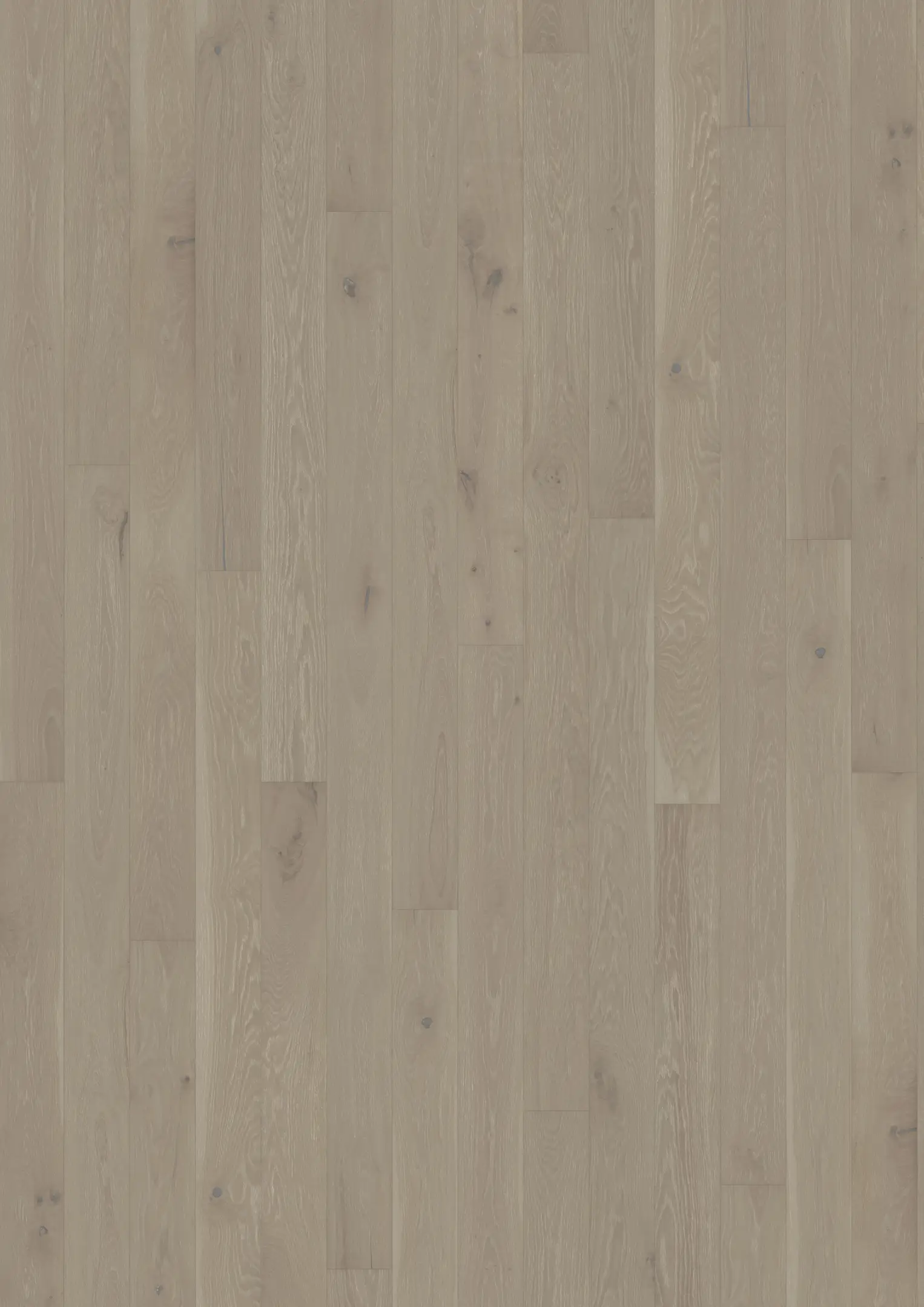 OAK CINDER Samples Kährs