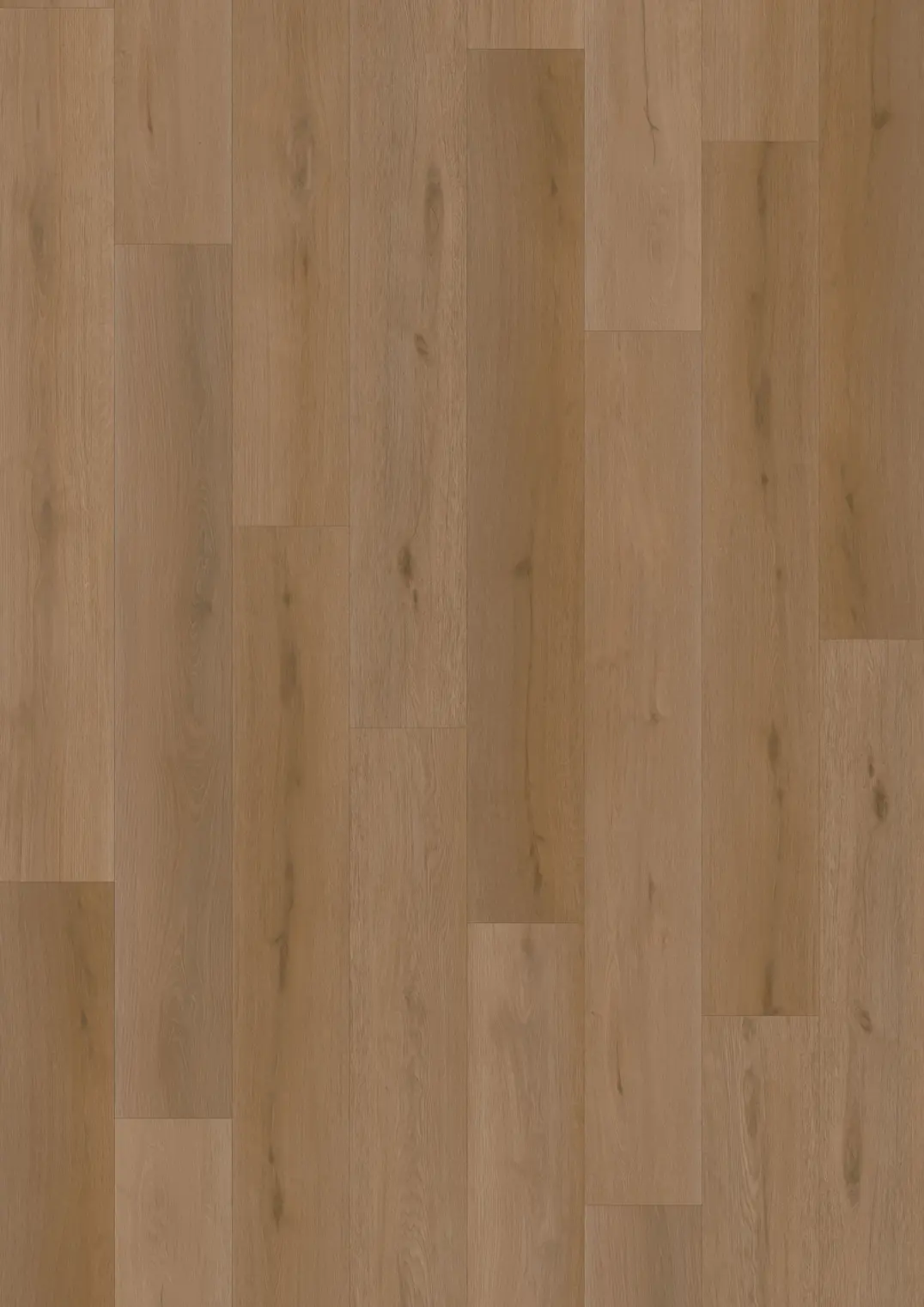INTENTION CLICK PLANK 