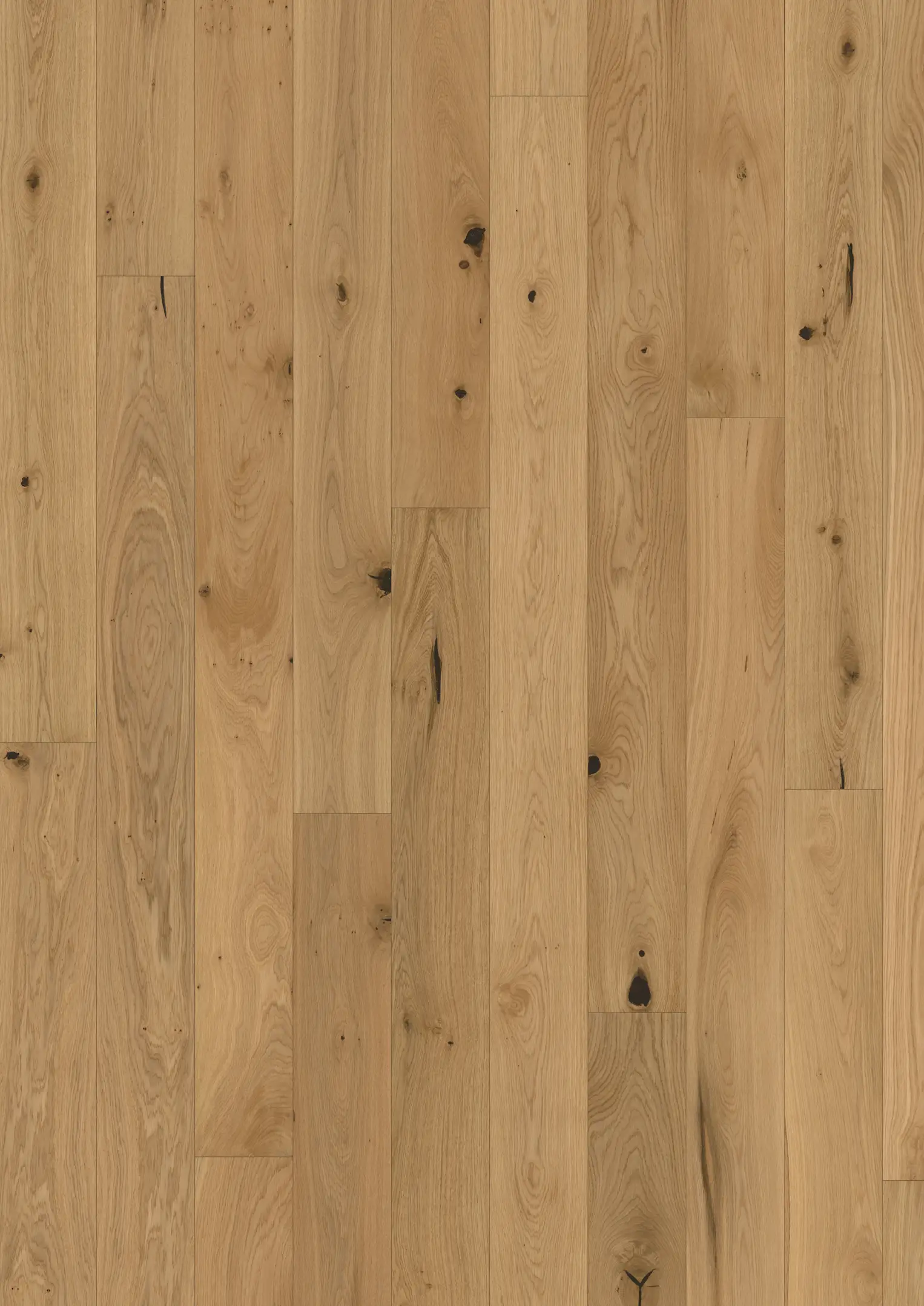 OAK TULIP Floors Kährs