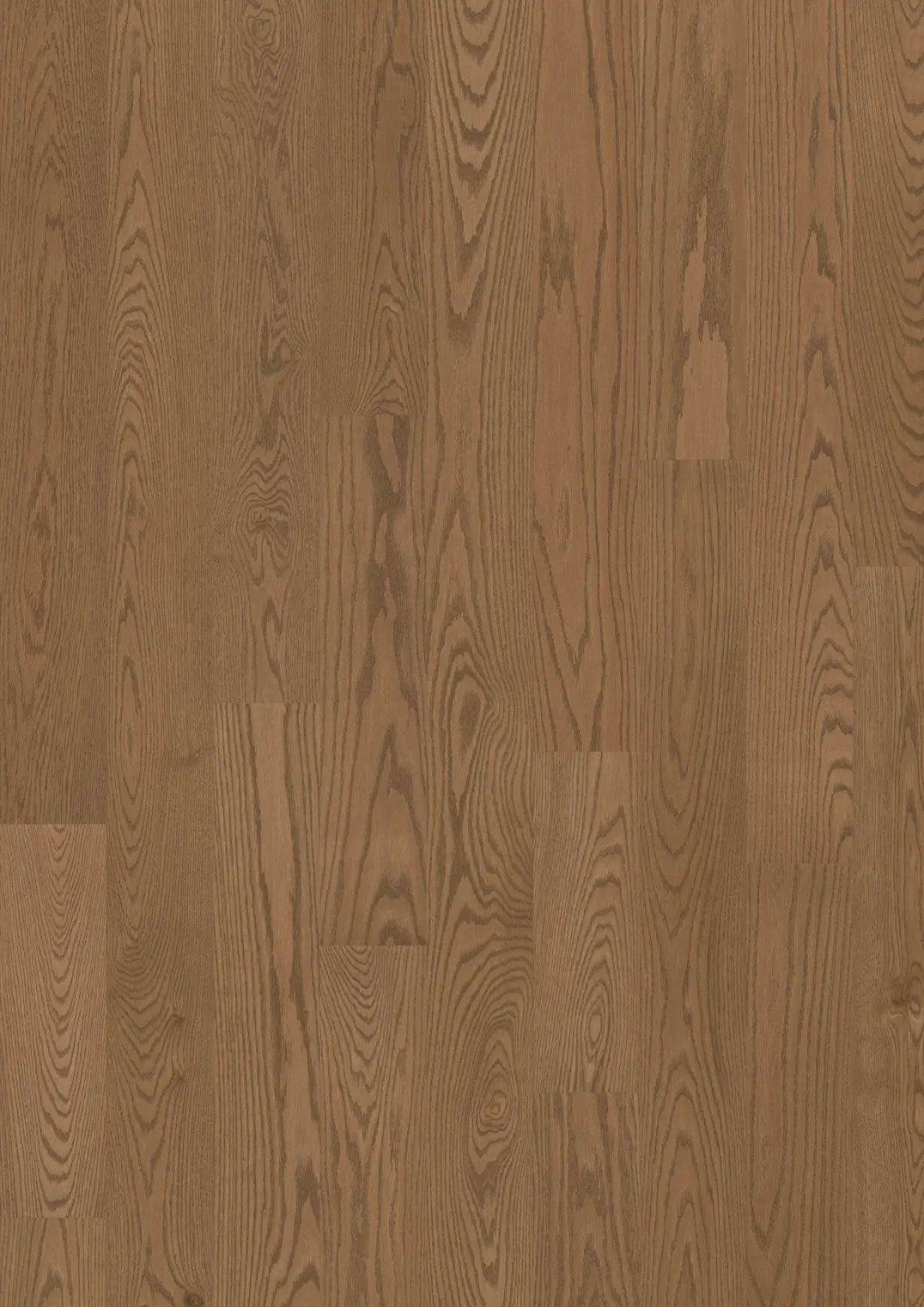 RED OAK VERNON MATTE