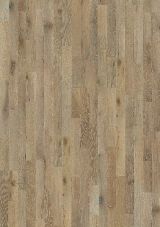 OAK DUSSATO