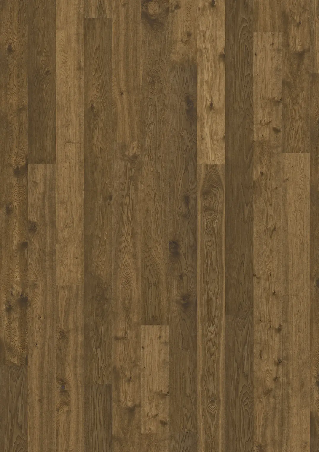 OAK TERRA