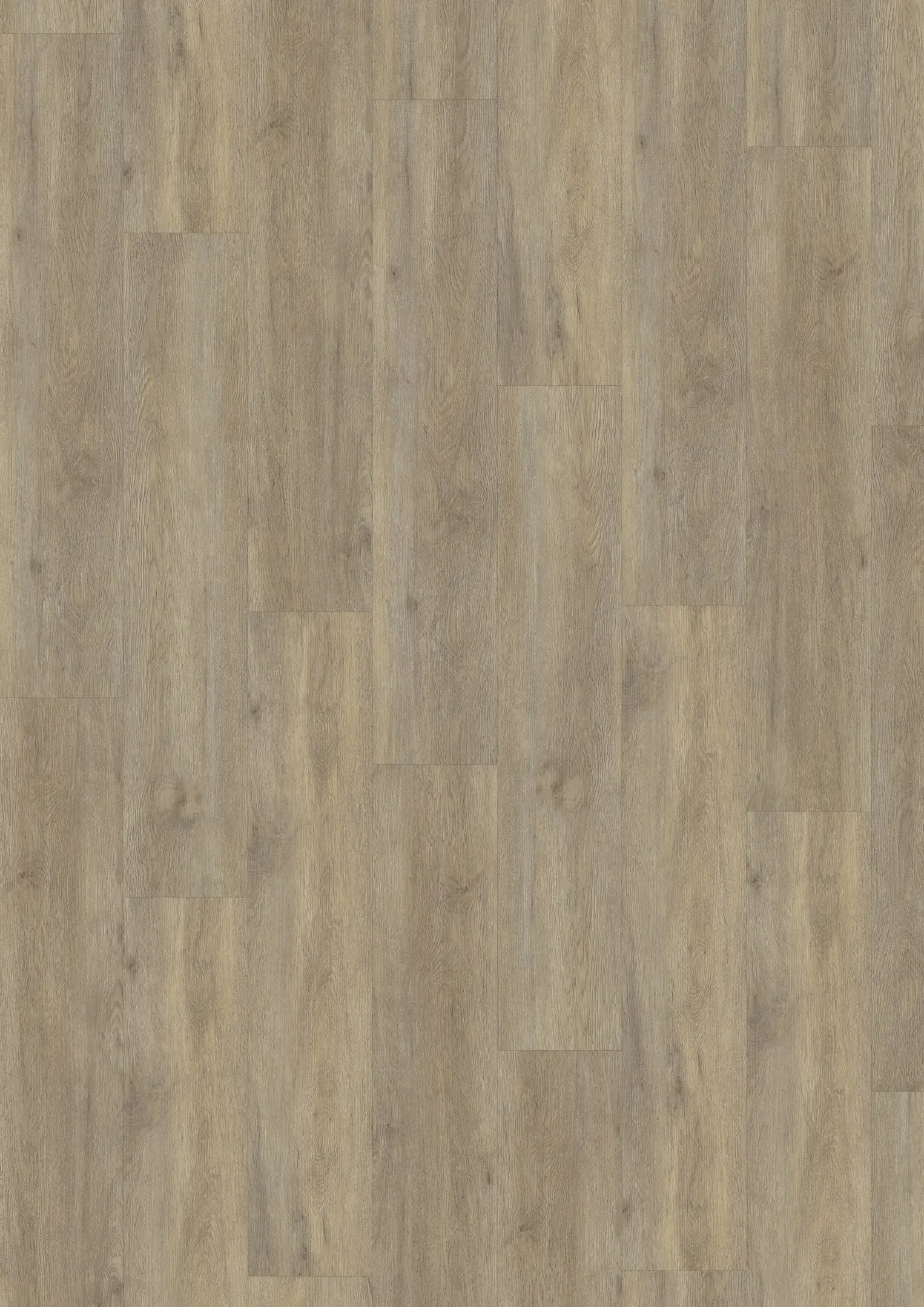 TAIGA DRY BACK Golv Kährs