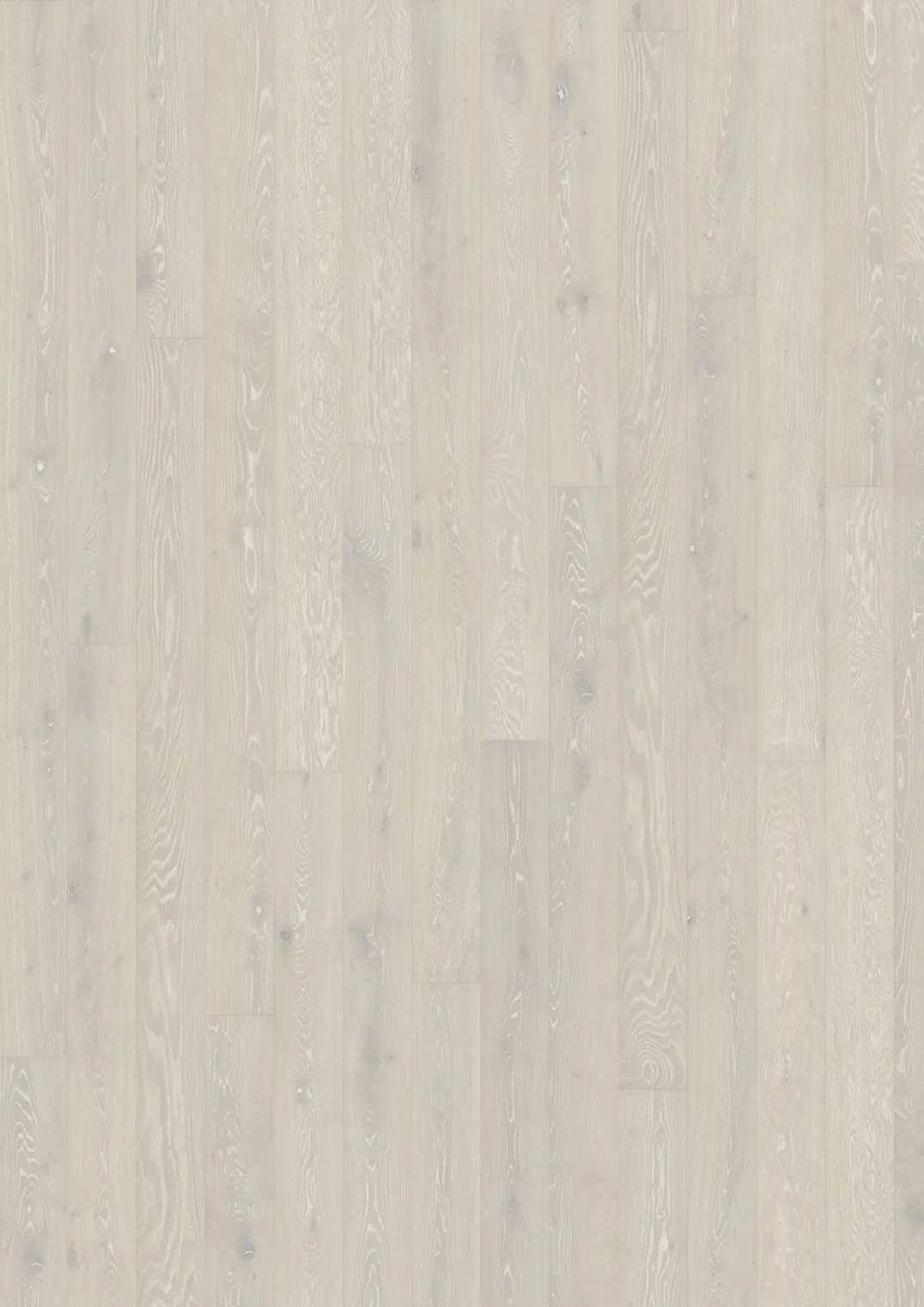 OAK BRIGHT