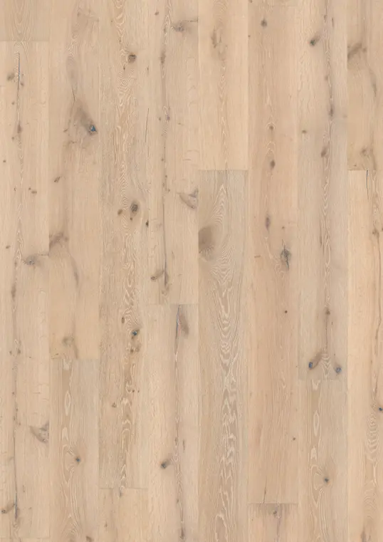 OAK ZEPHYR