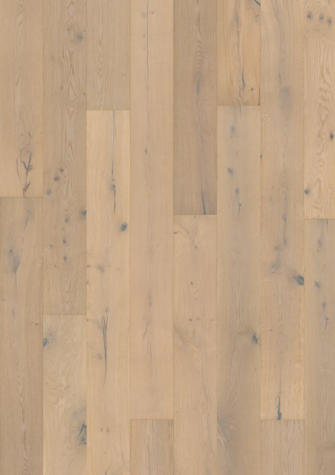 OAK MISTRAL