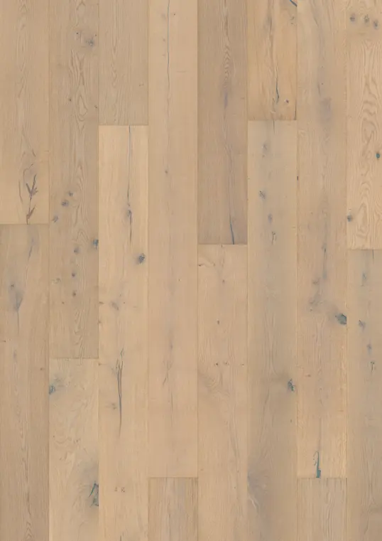 OAK MISTRAL
