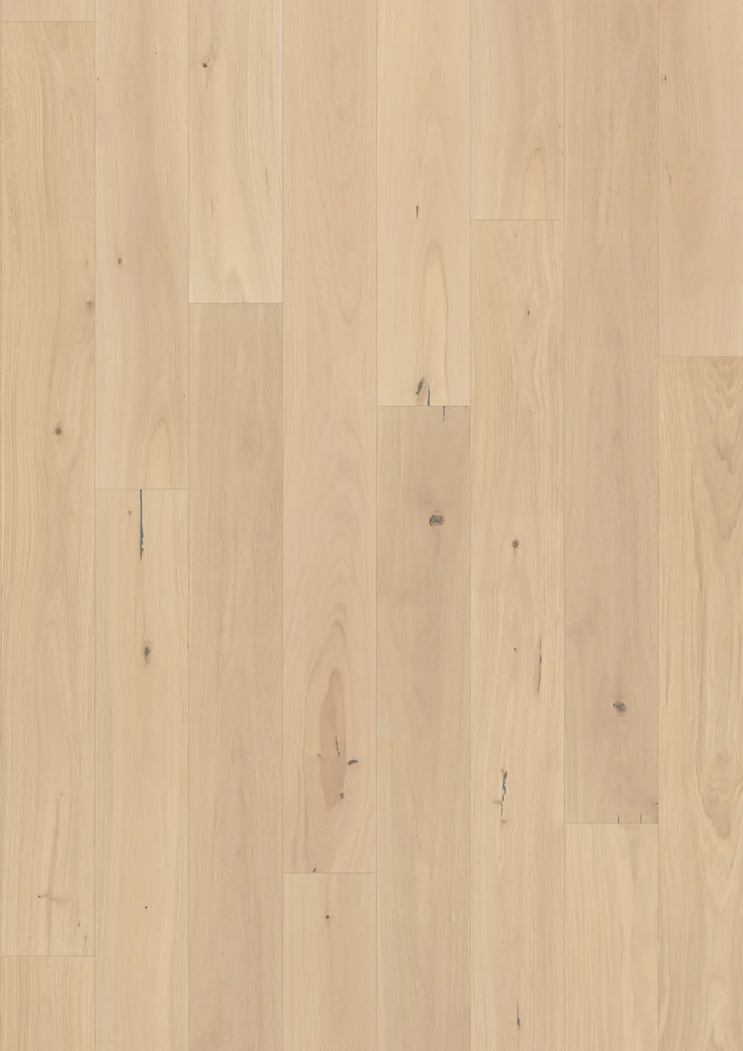 OAK PIAZZA CD CRÈME WHITE