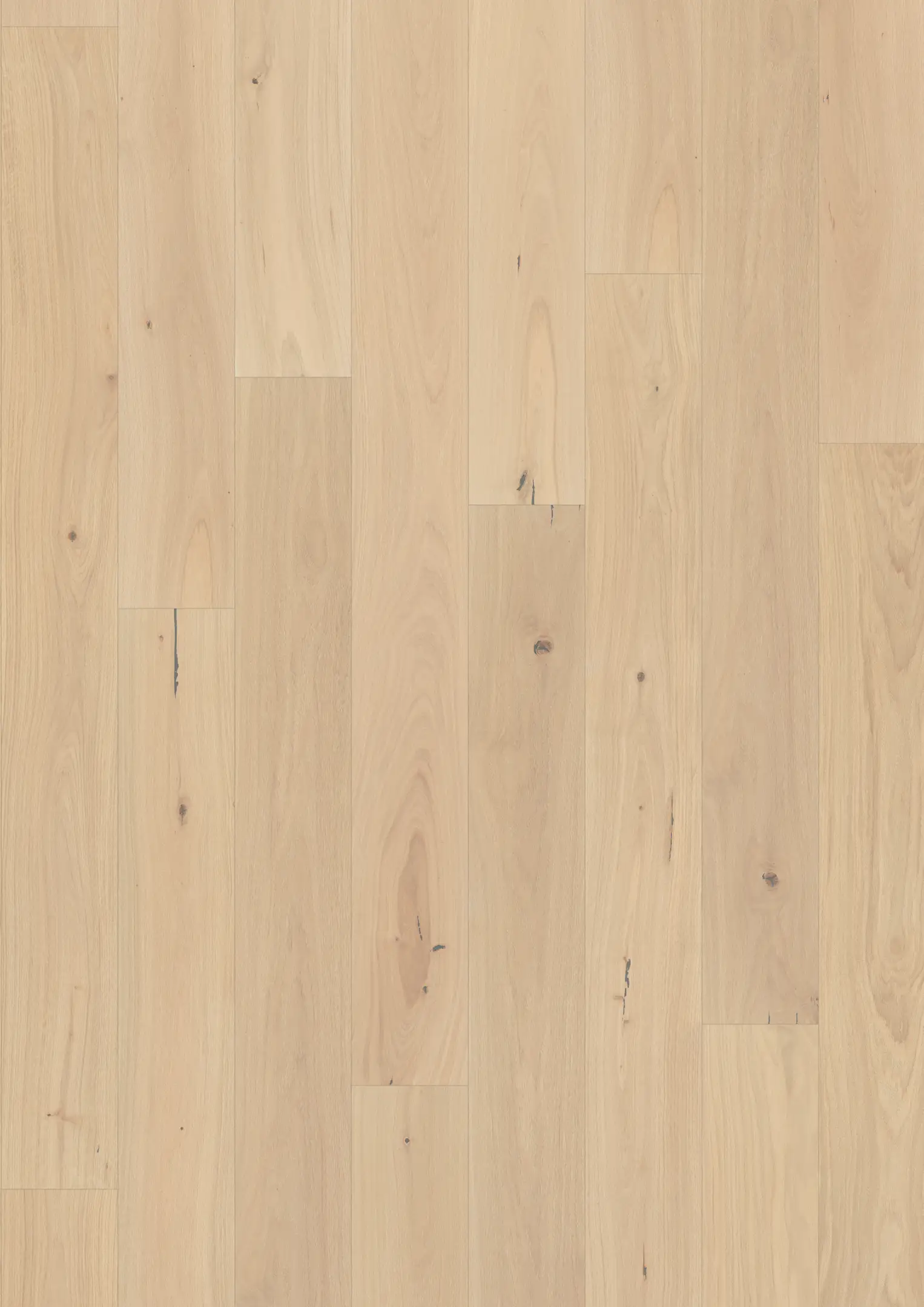 EICHE PIAZZA CD CREMEWEIß Alle Bodenbeläge Kährs