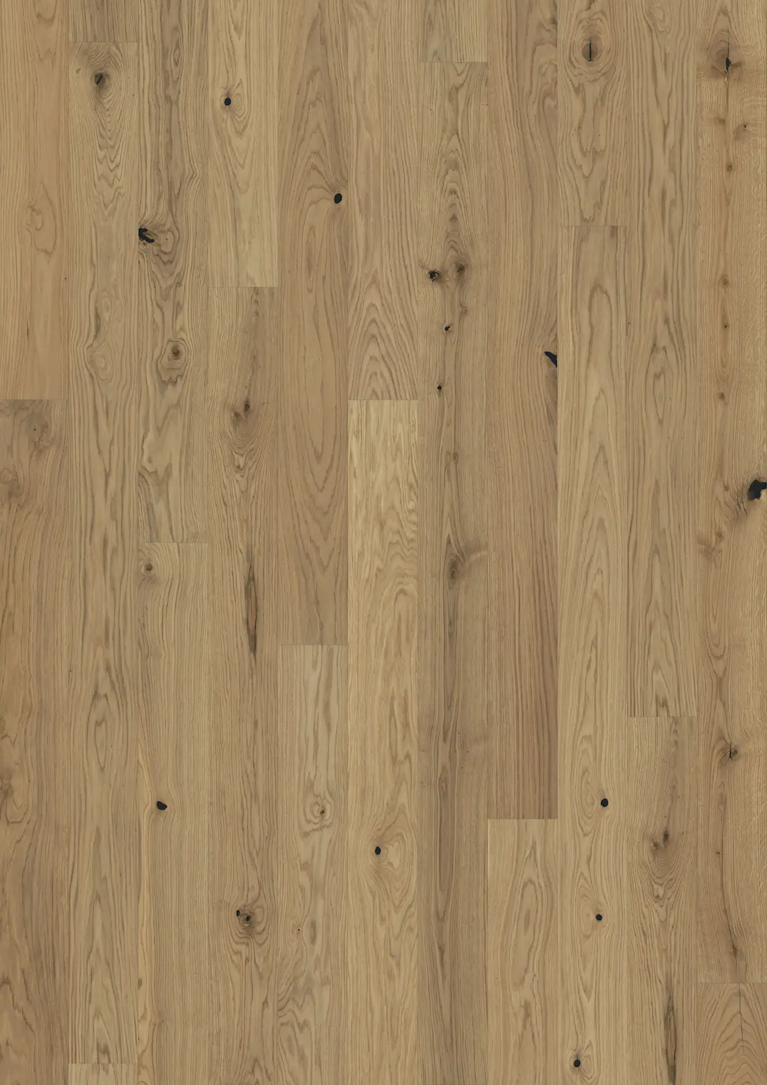 OAK 1-STRIP