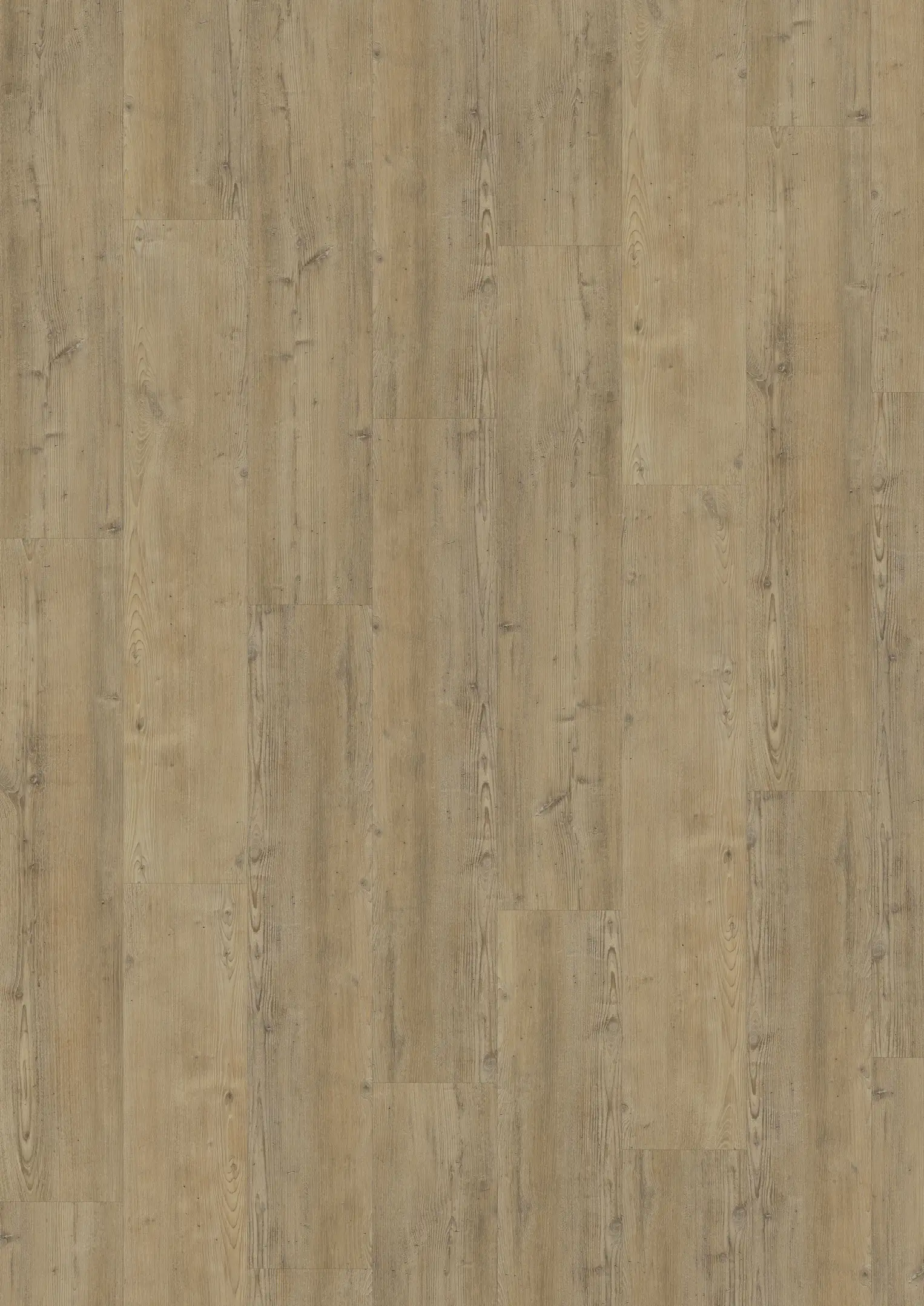 WAIPOUA DRY BACK Golv Kährs