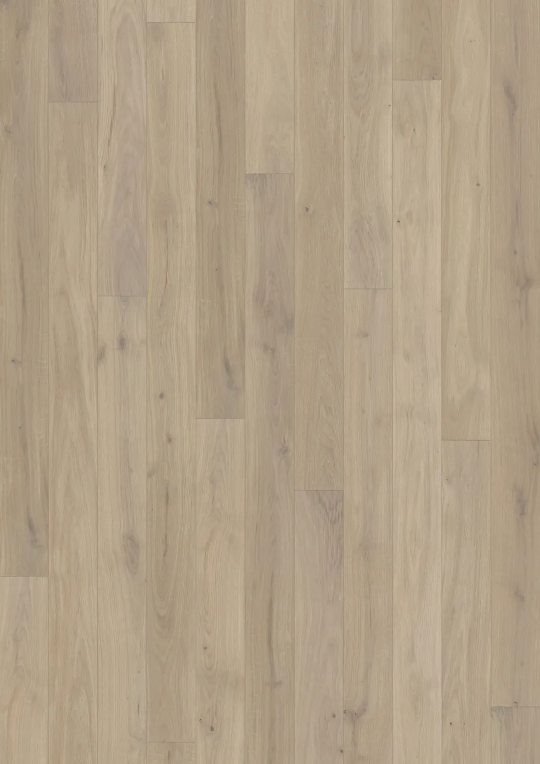 OAK MUSE MATTE