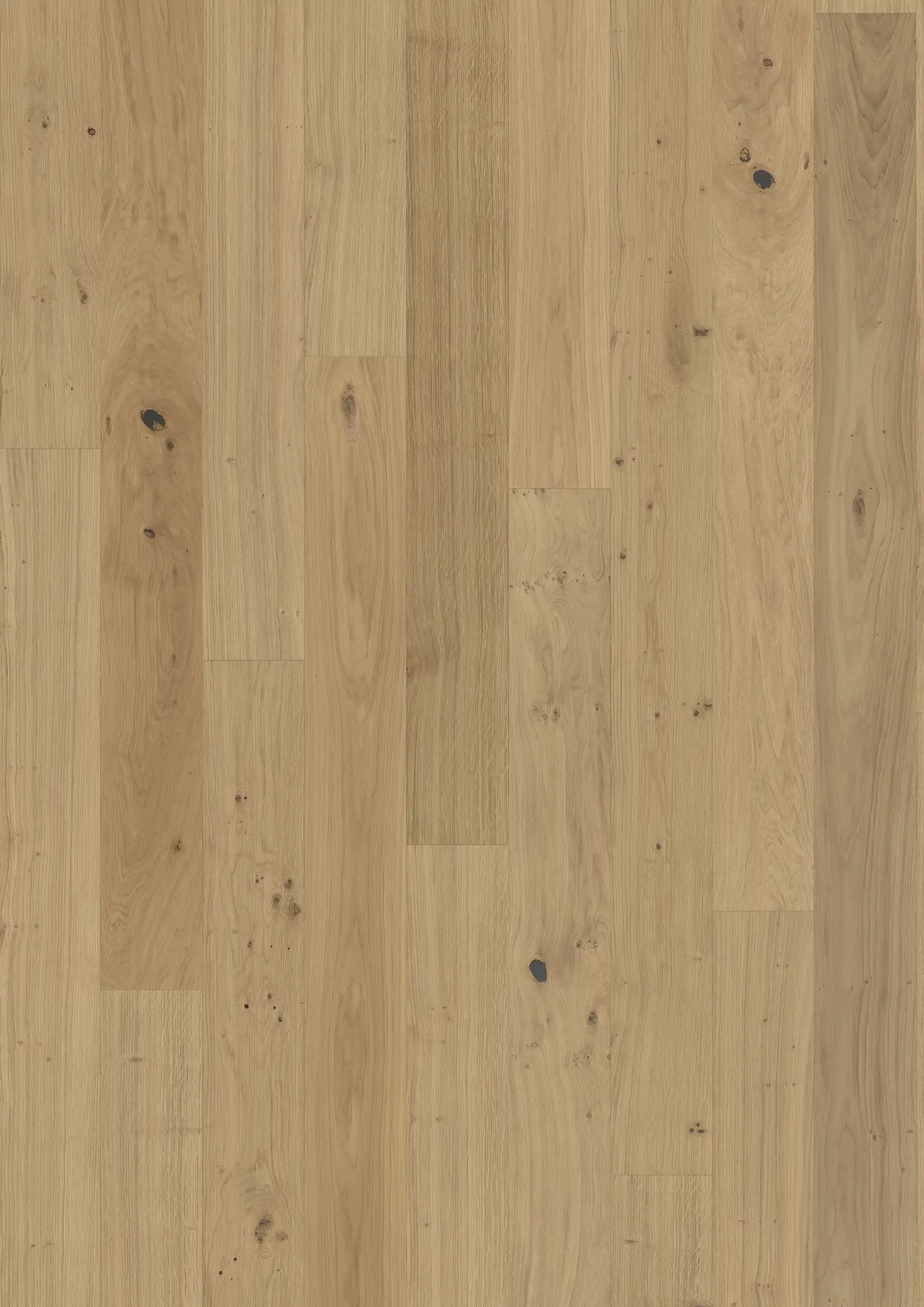 EICHE RÜGEN Alle Bodenbeläge Kährs