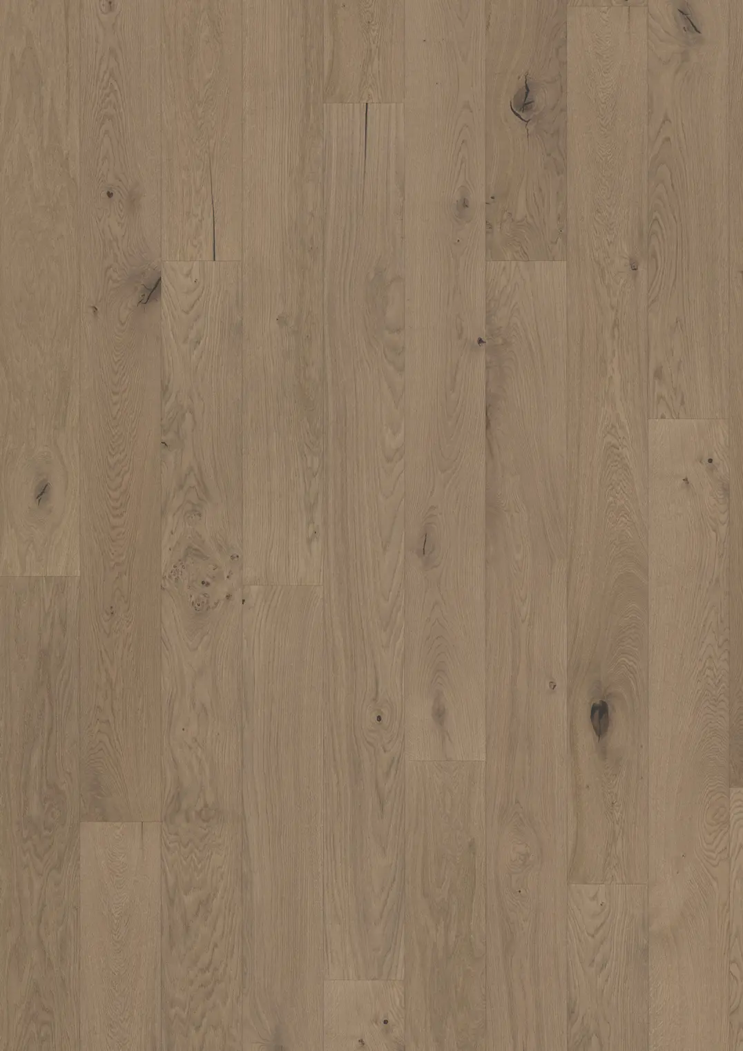 EK FROZEN HAZELNUT PLANK