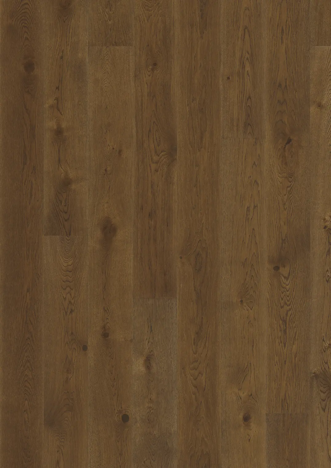 OAK NOUVEAU RICH
