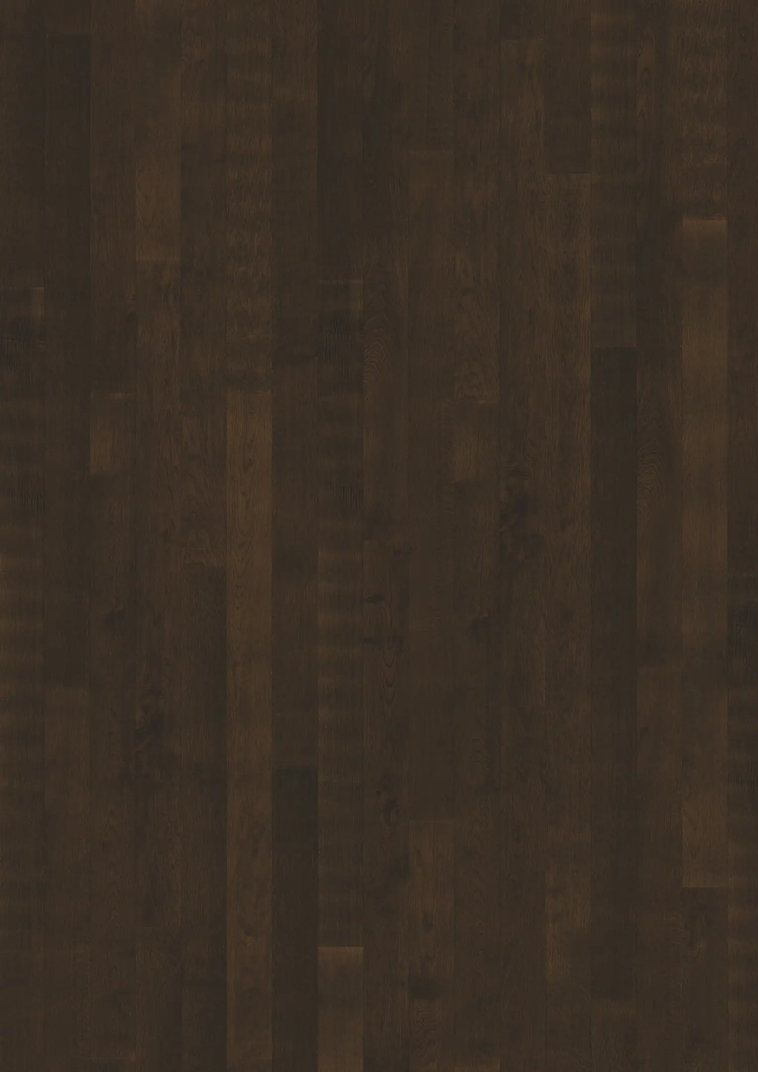 OAK CURIO Prover Kährs