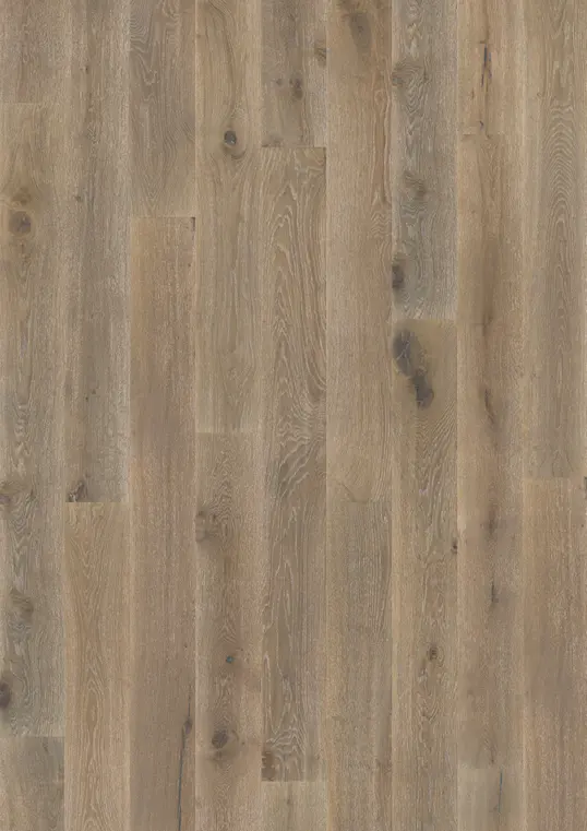 OAK LINO