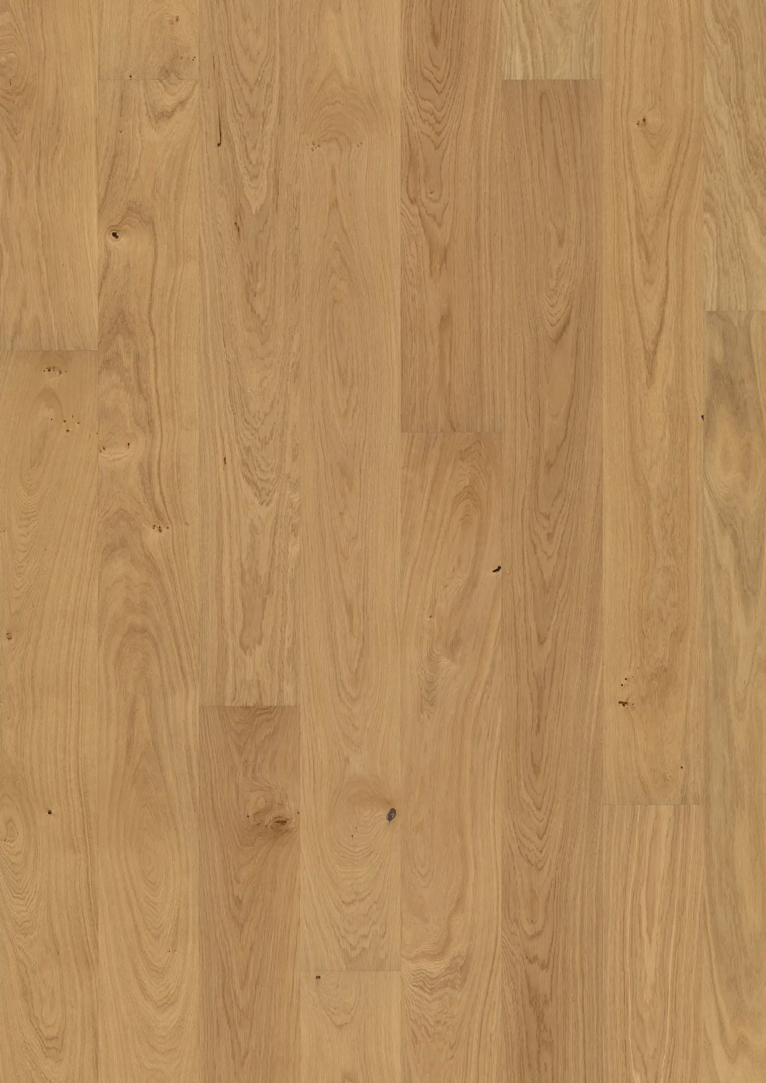 OAK DAHLIA OILED Floors Kährs