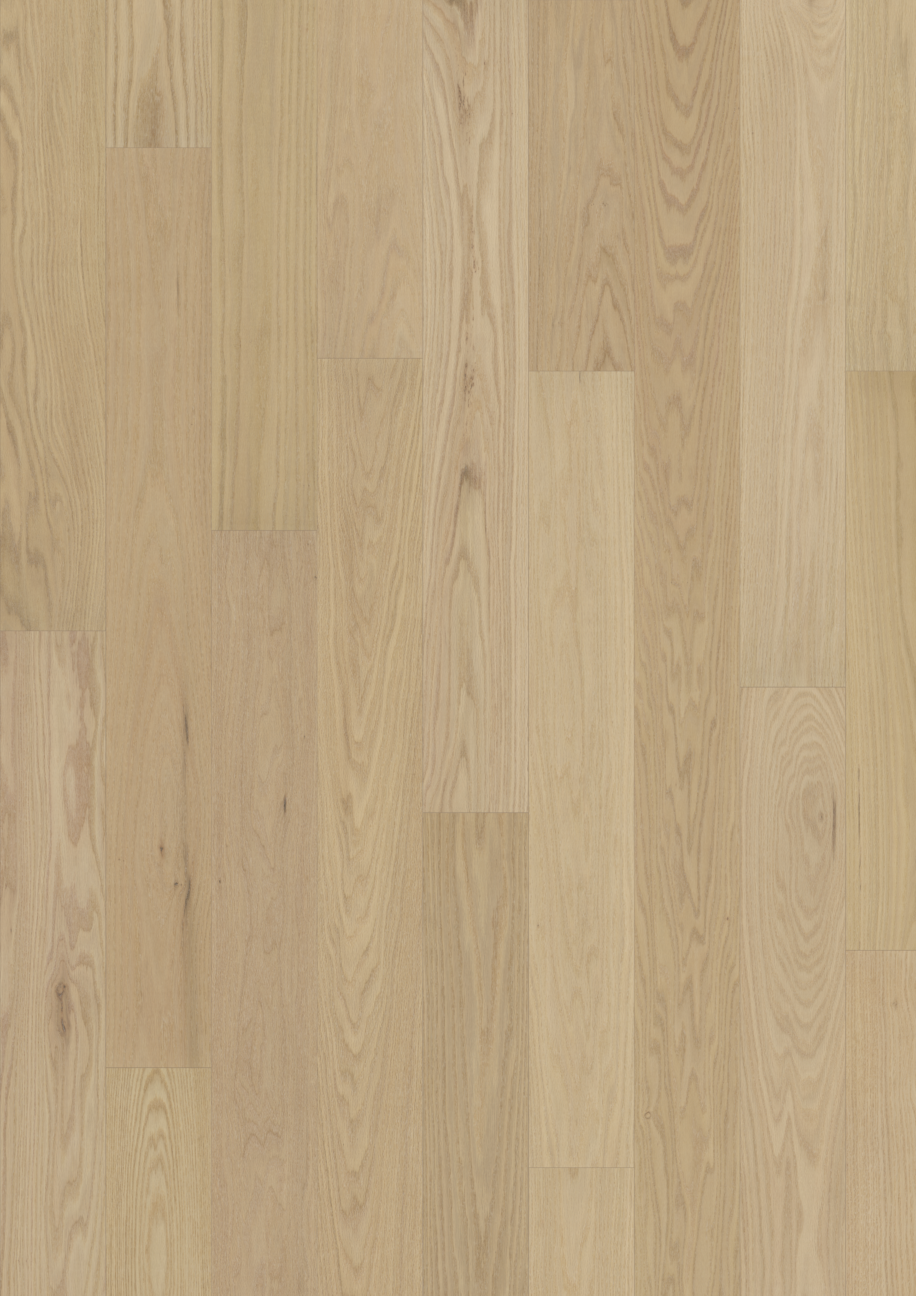 RED OAK VIZCAYA MATTE - Kährs