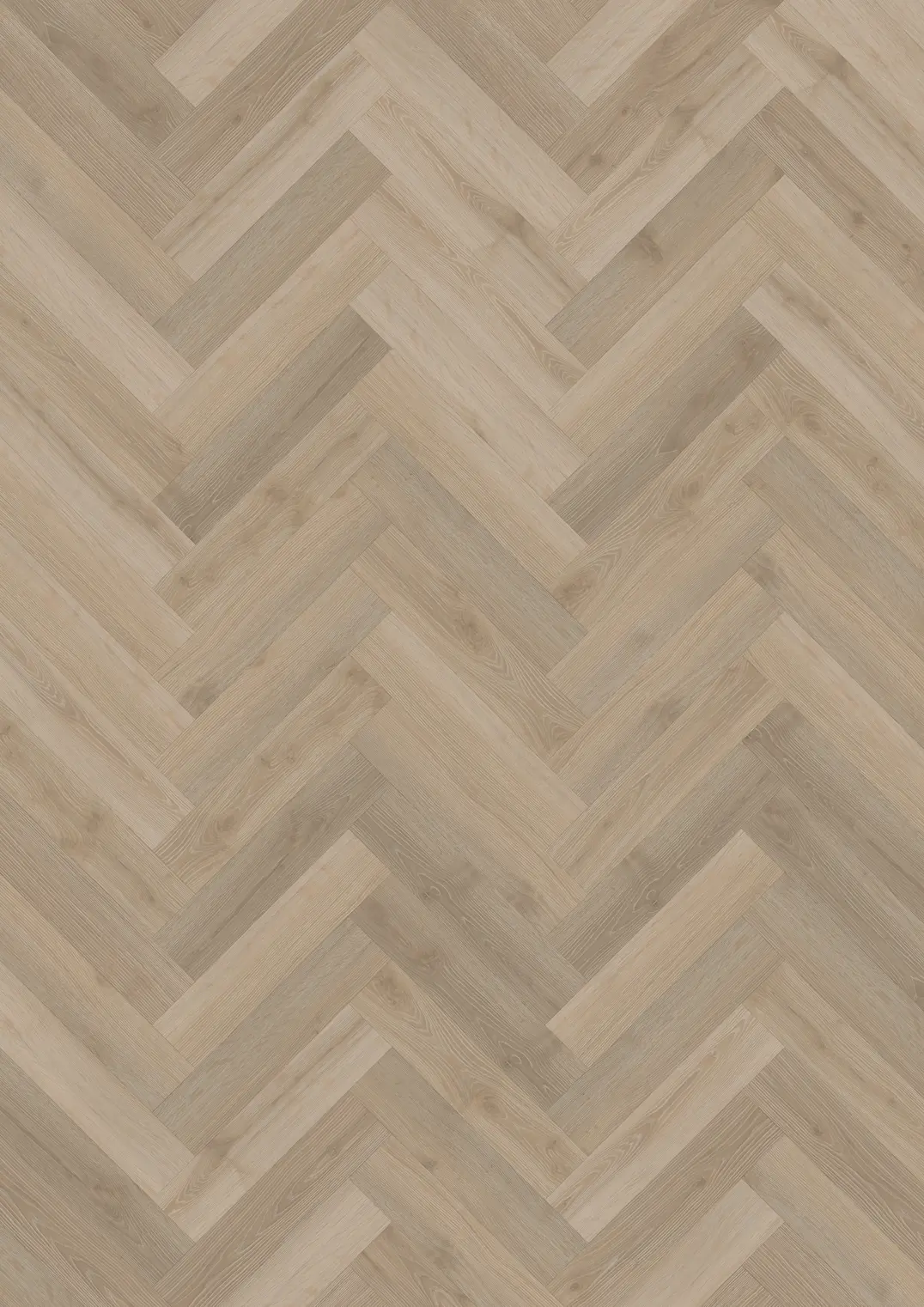 KILSBERGEN DRY BACK KALANRUOTO