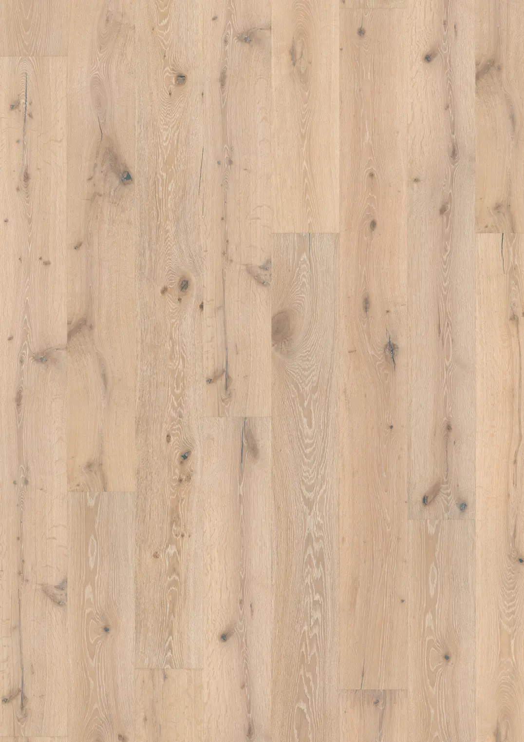 OAK ZEPHYR