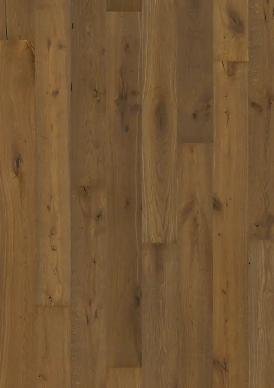 OAK LEVANTER