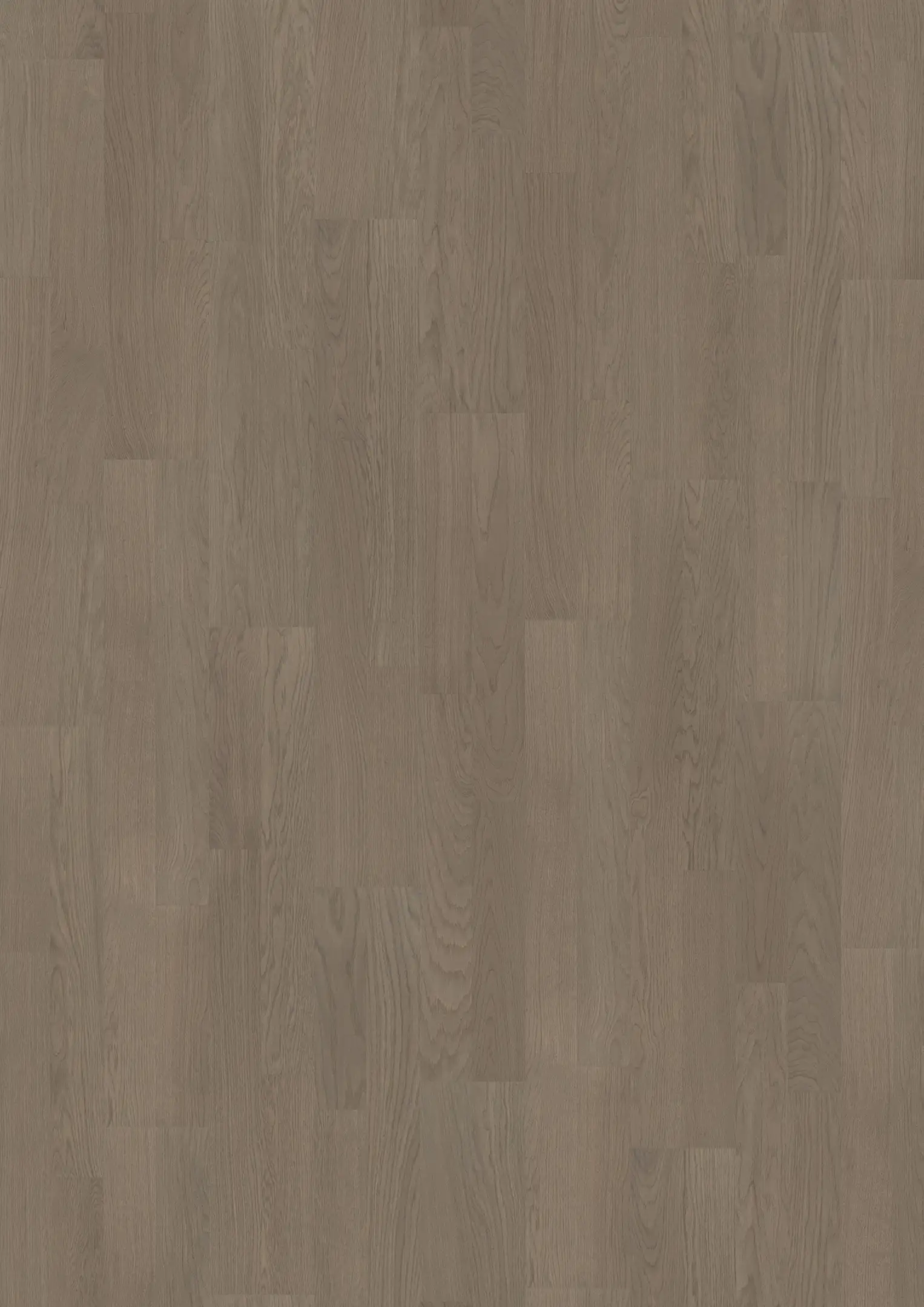 EARL GREY 2-STRIP Samples Kährs