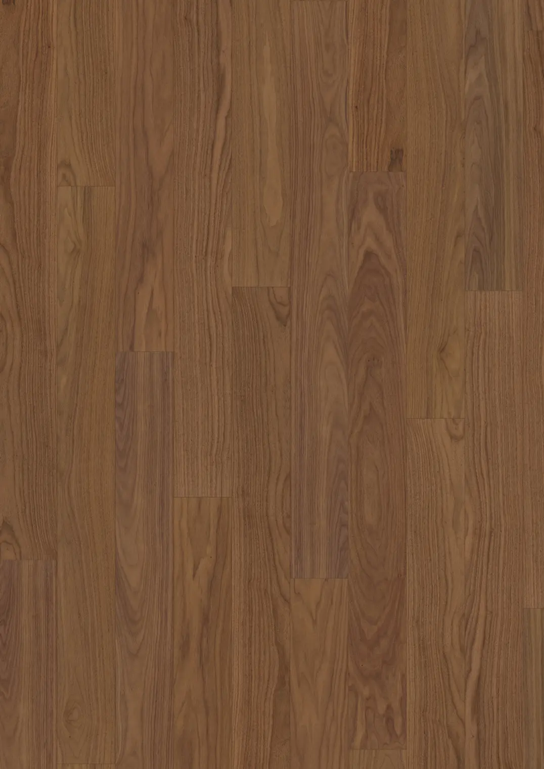 PÄHKINÄ CORIANDER PLANK