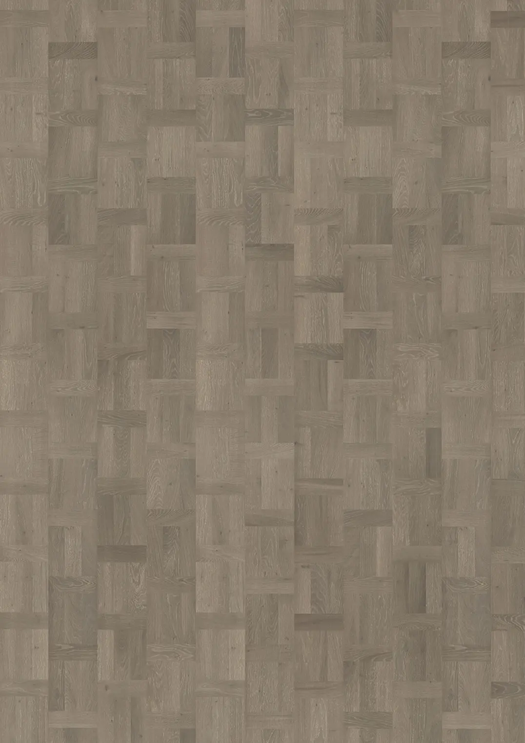 TAMMI TIME GREY