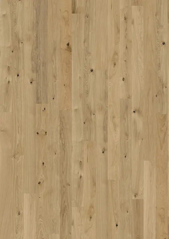OAK PURE