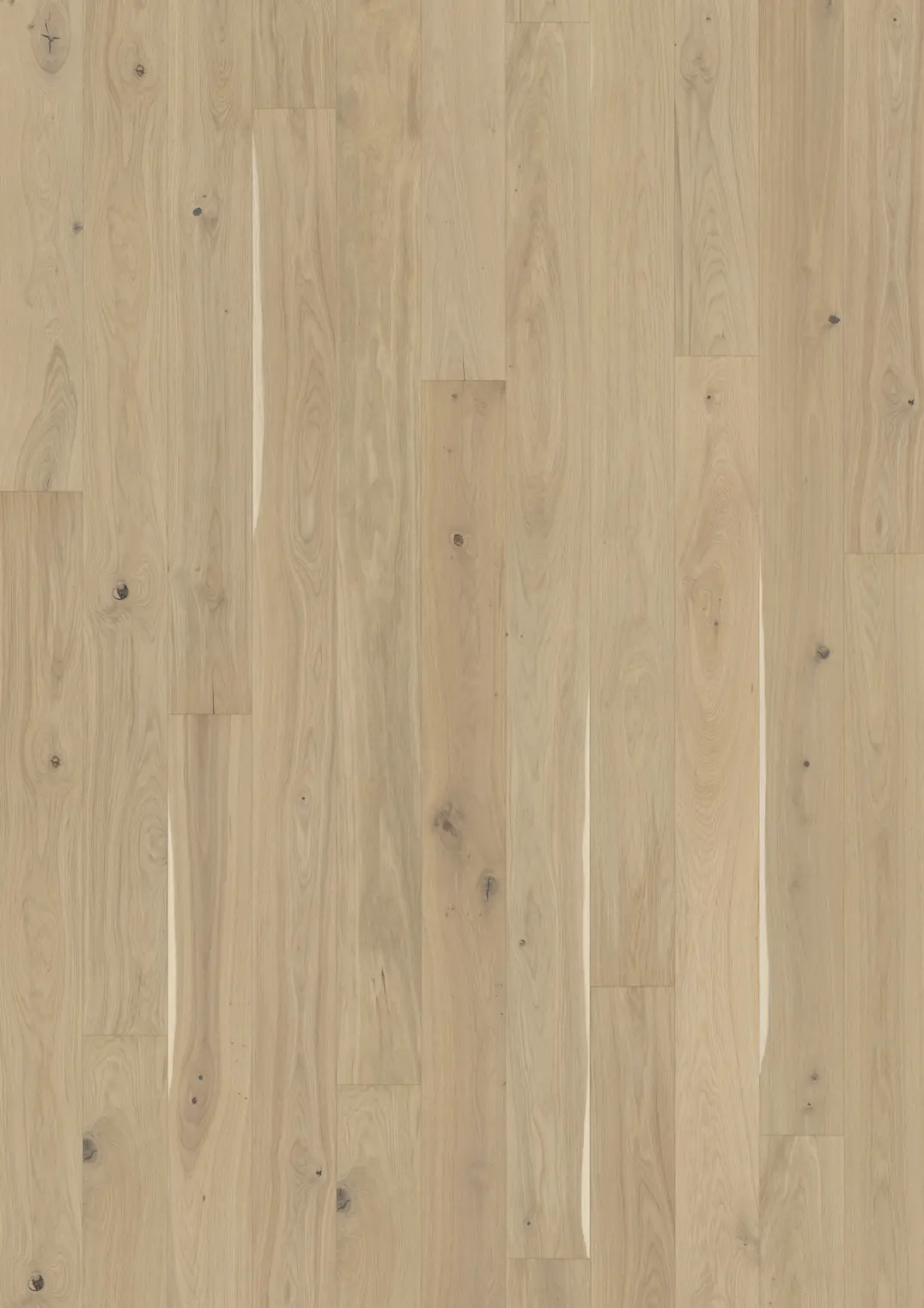 OAK EGGSHELL