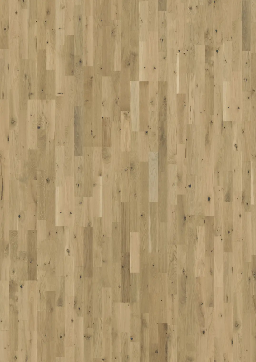EICHE URBAN BROWN