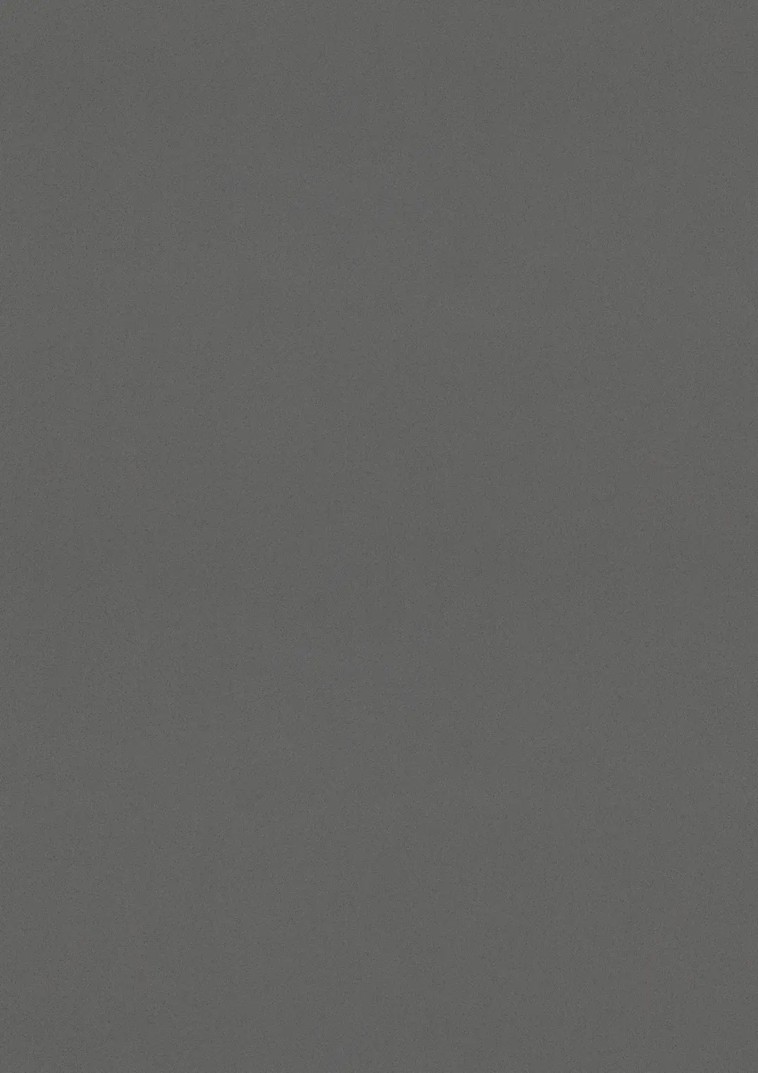 ESTRAD SAFETY R12/45 7752