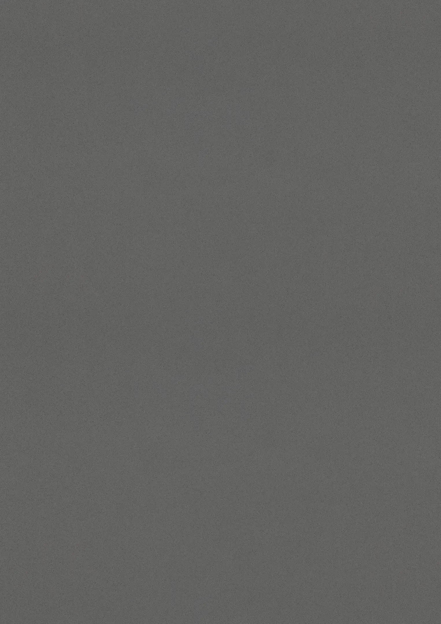 ESTRAD SAFETY R12/45 7752 Gulve Kährs