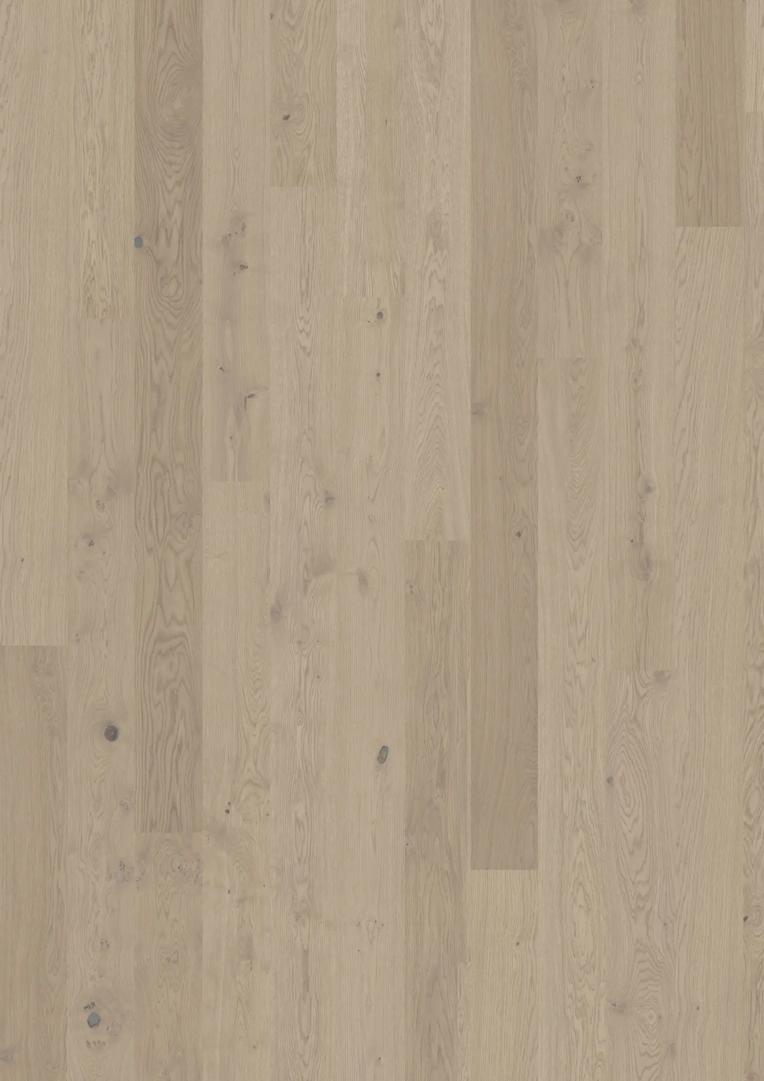 OAK COAST Samples Kährs