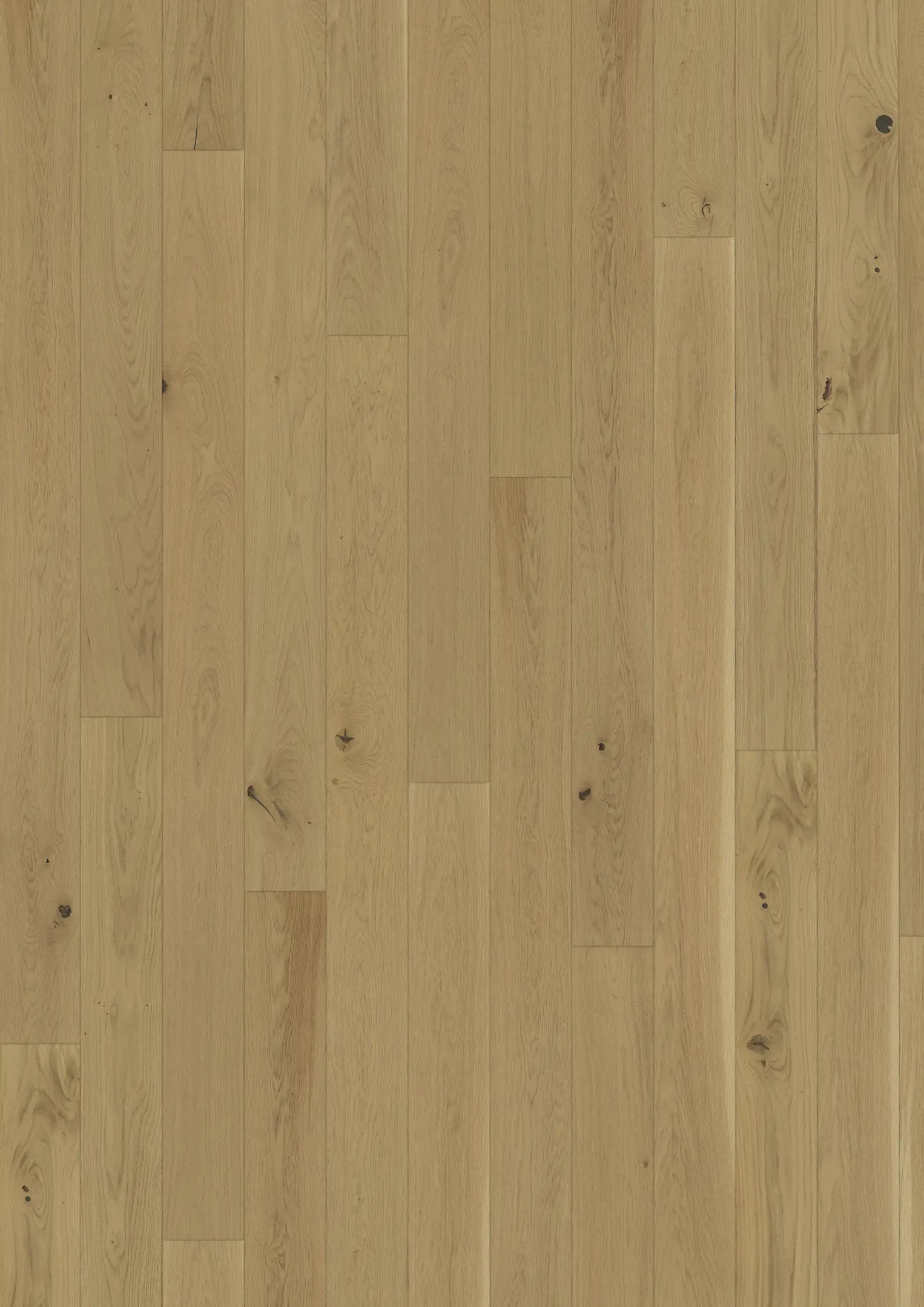 OAK BISCOTTI Floors Kährs
