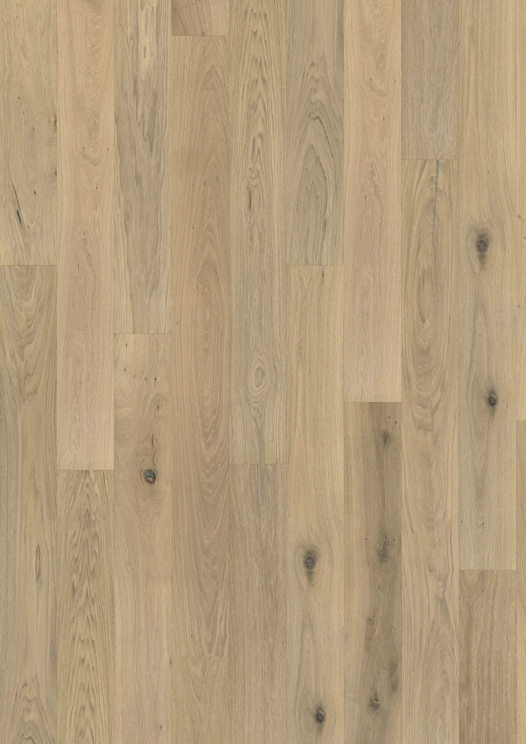 OAK NOUVEAU WHISPER