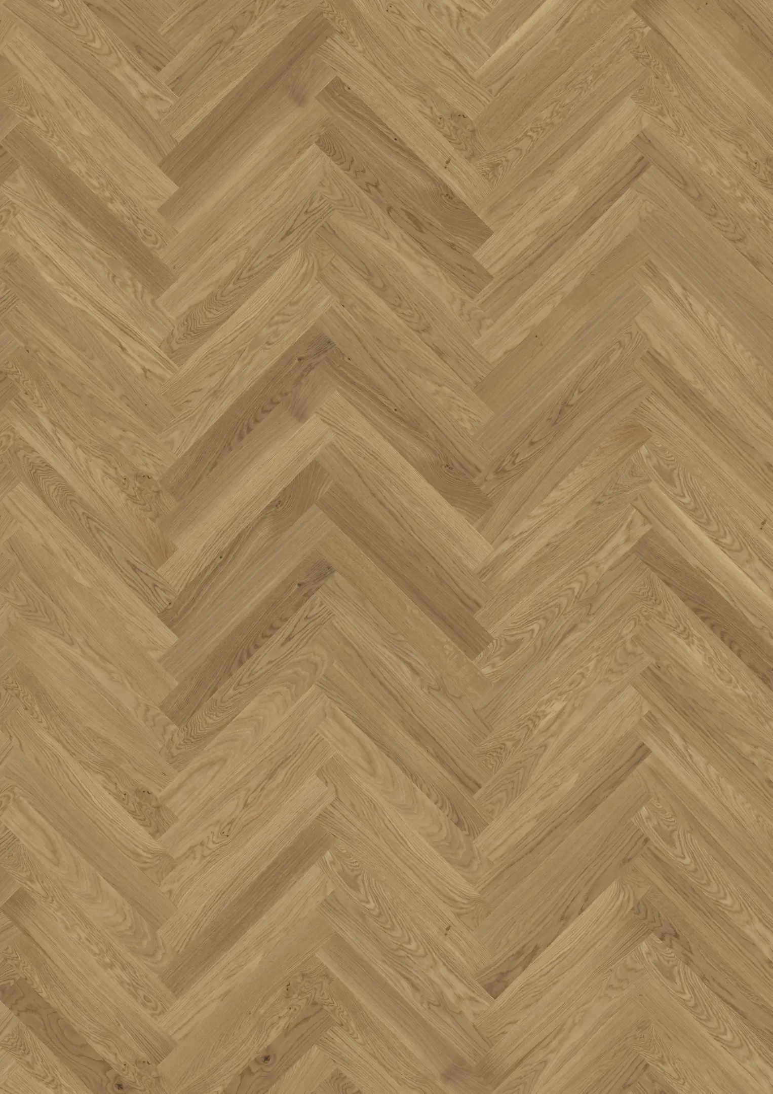 OAK STUDIO CD HB OILED Floors Kährs