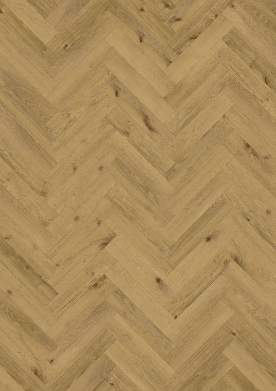 MOESGAARD DRY BACK FISCHGRAT