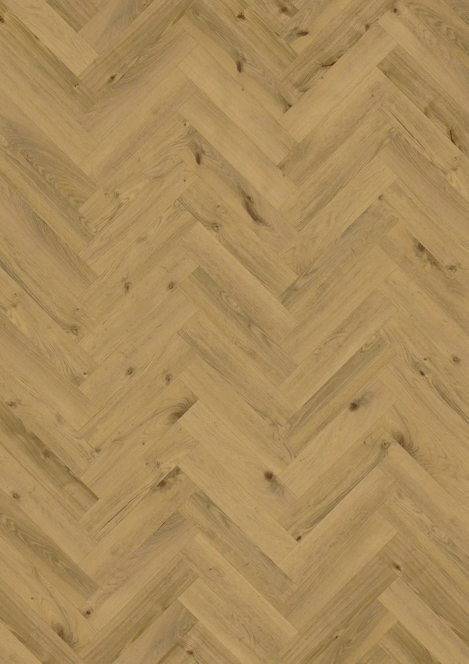 MOESGAARD DRY BACK KALANRUOTO Lattiat Kährs