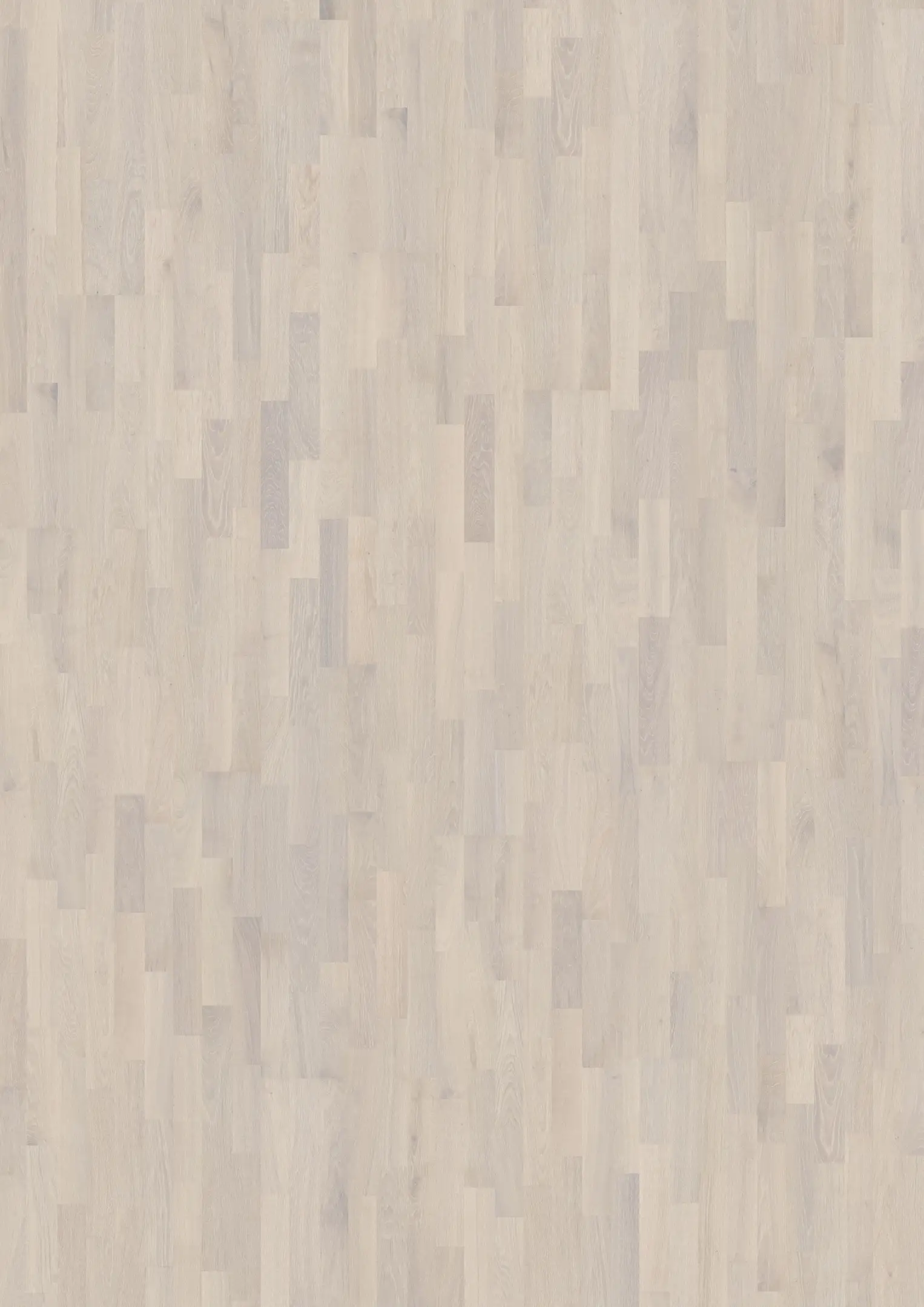 OAK RIME Samples Kährs