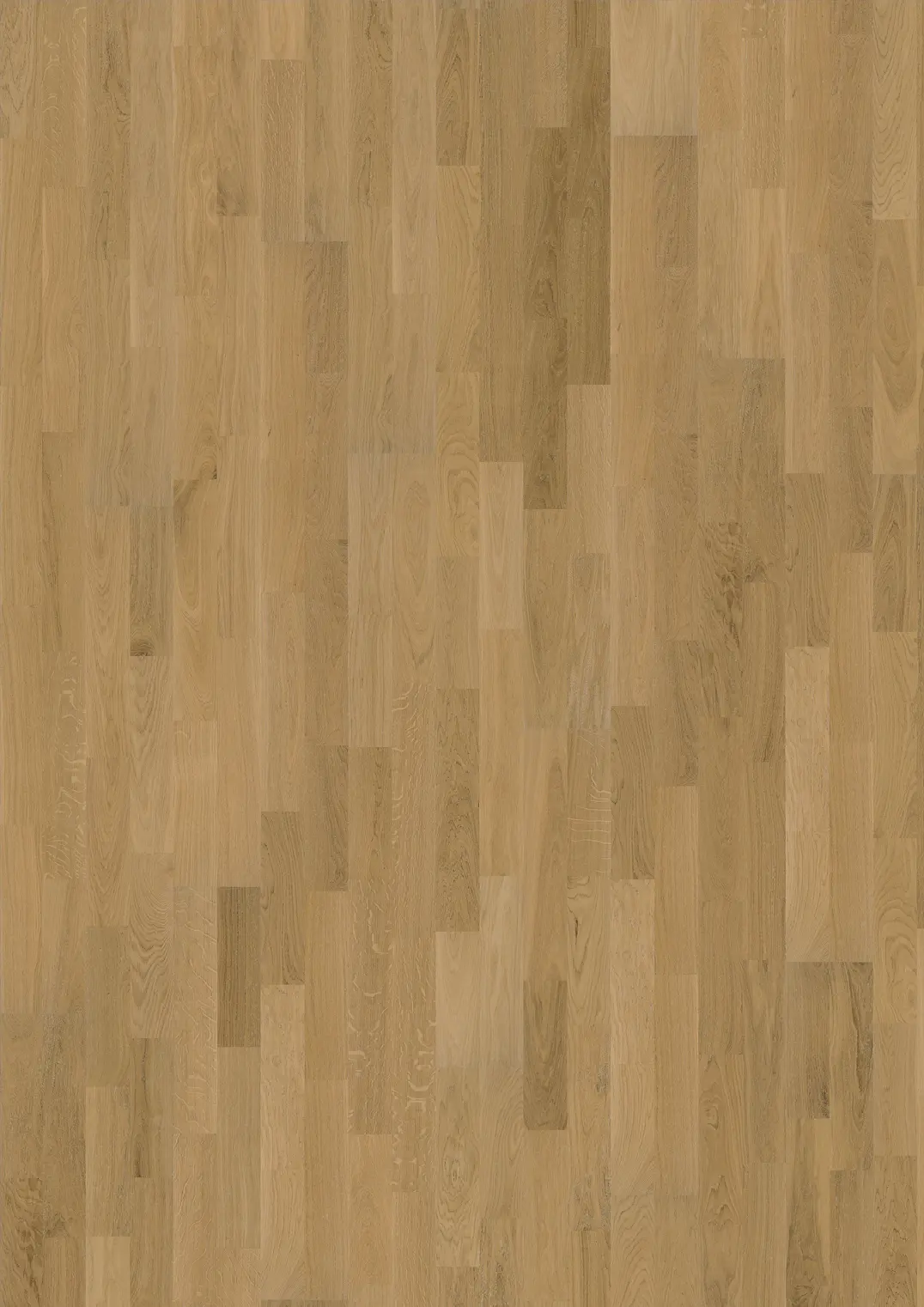 Oak Verona