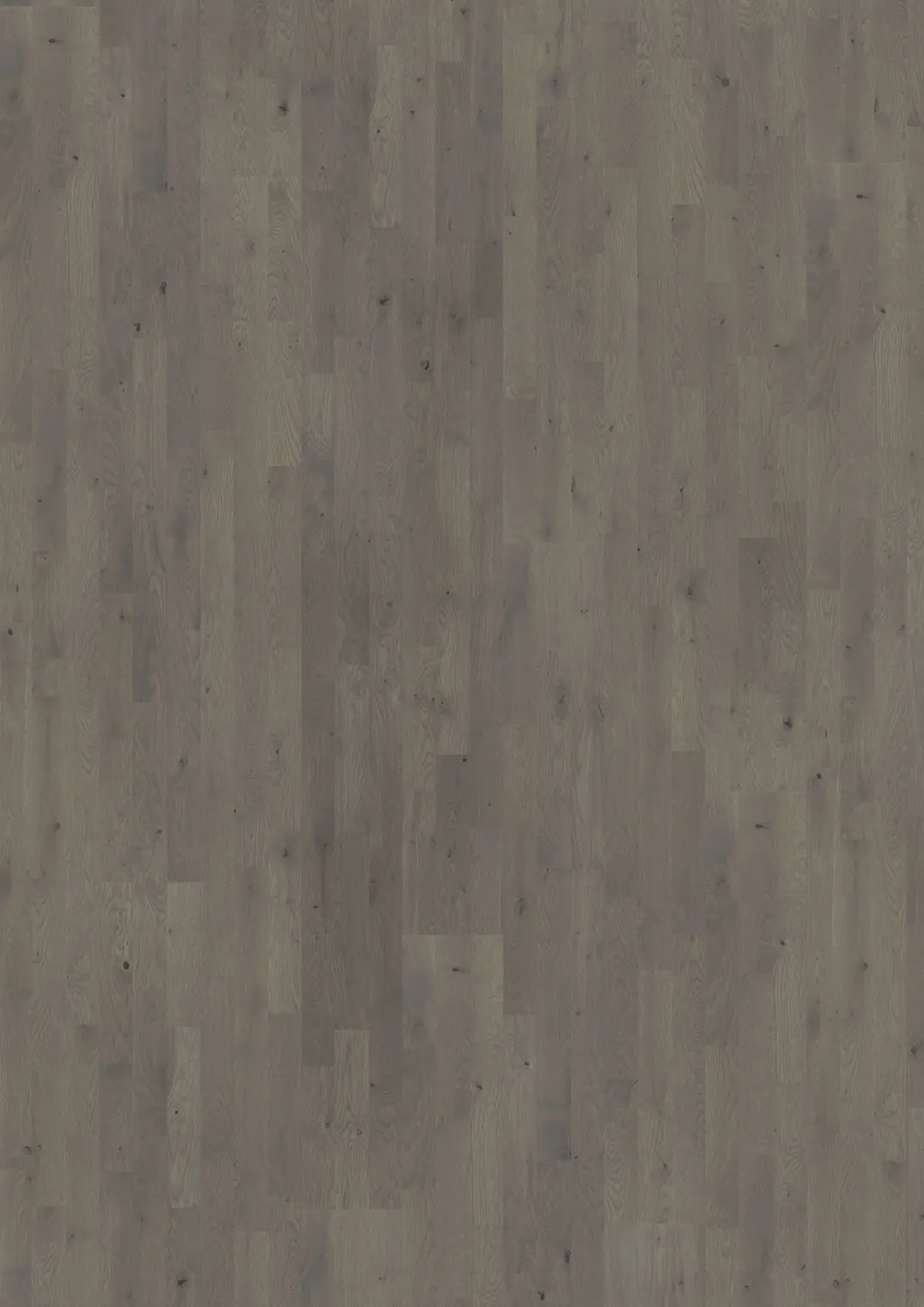 EICHE PEARL GREY