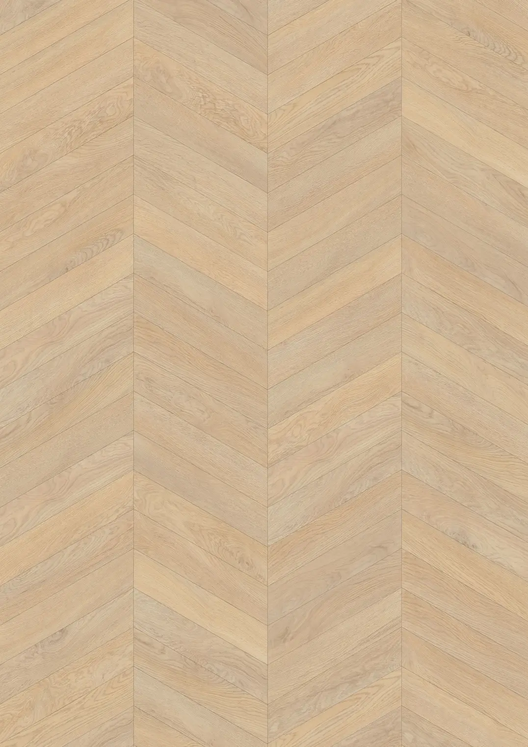 FUSION CLICK CHEVRON