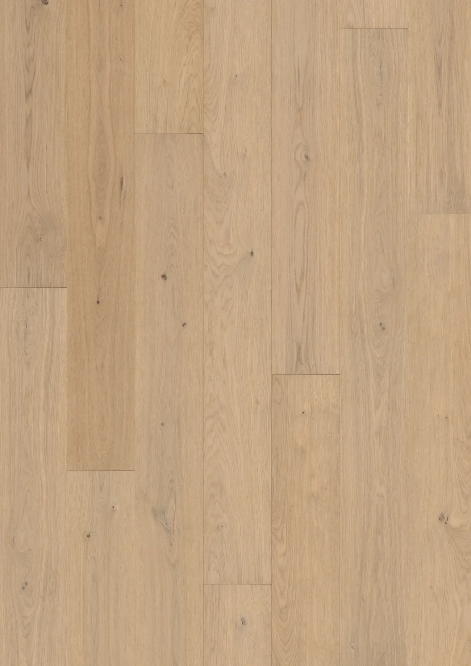 OAK GINSENG DELUXE Samples Kährs